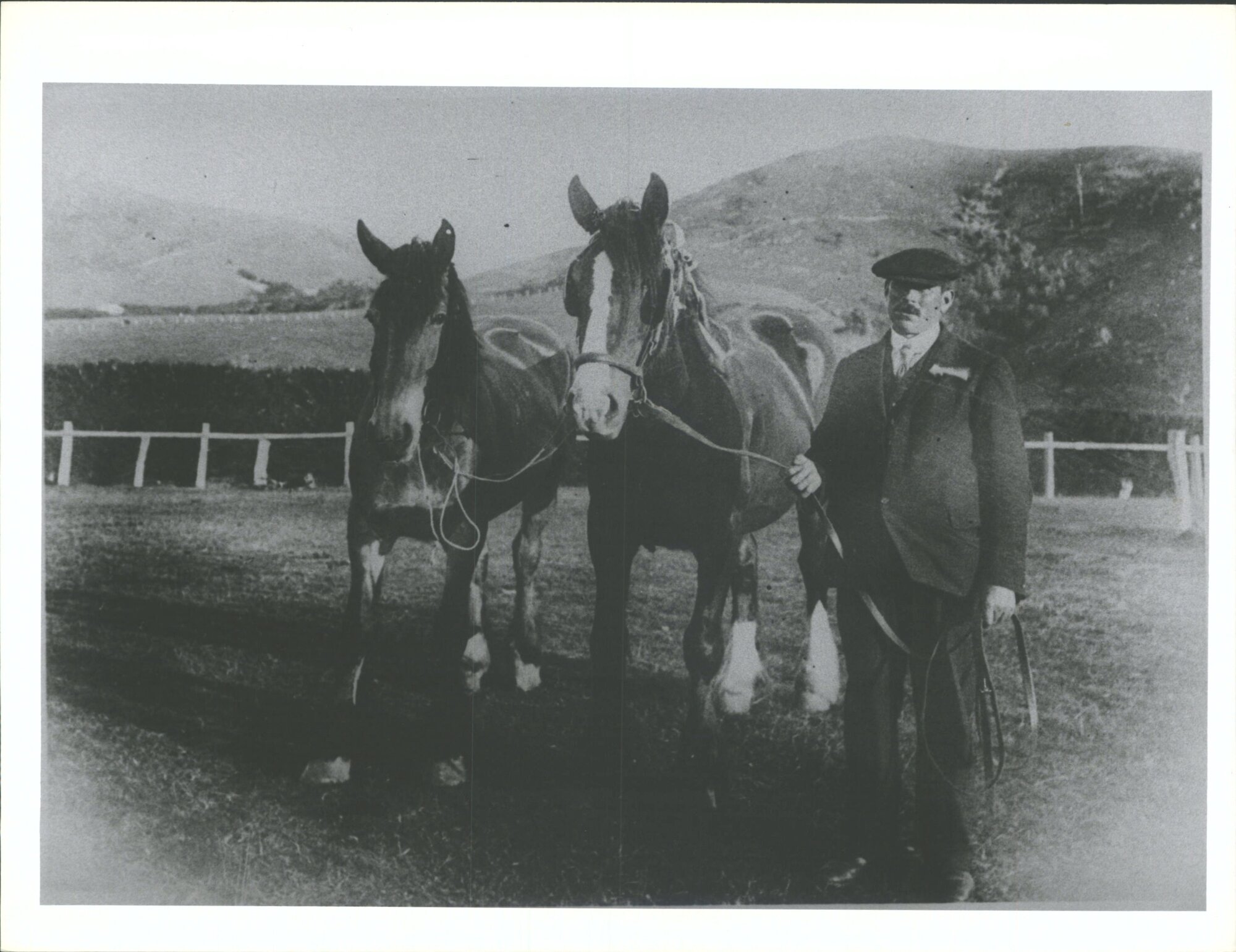 Alec Morris with Bill Cowan's horses - A. &amp; P. Show