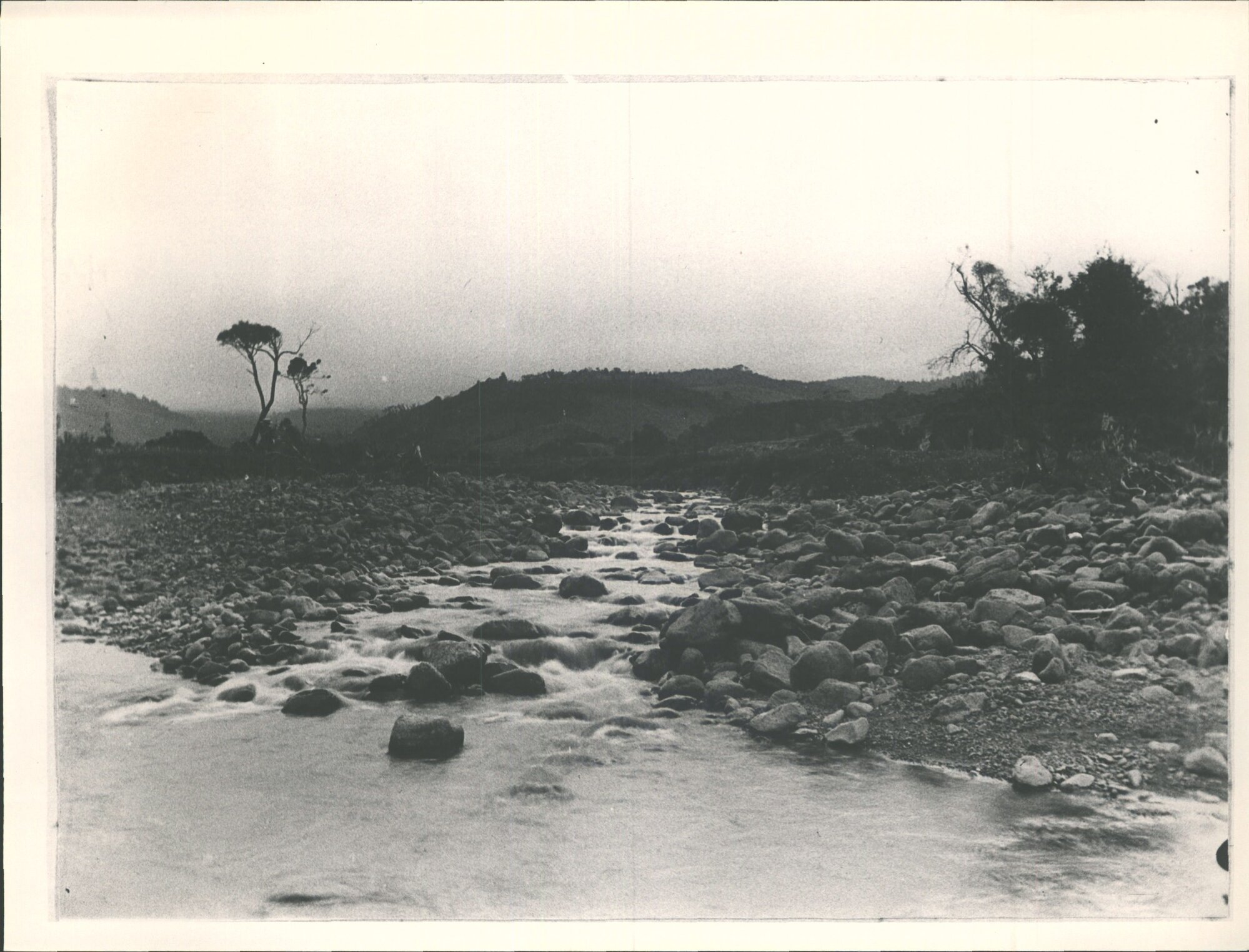 Waitati stream [John McFadzien's Farm?]