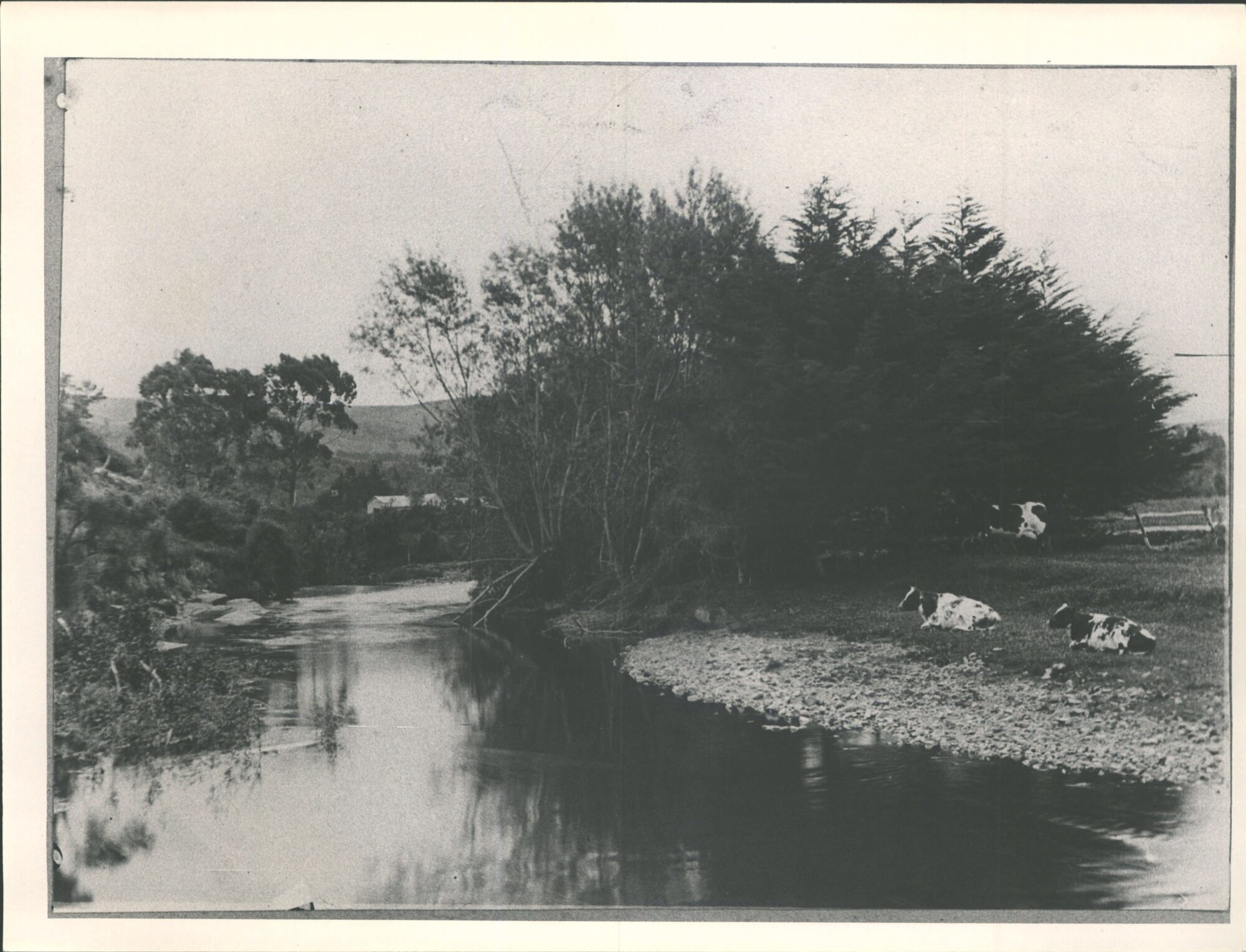Waitati stream [John McFadzien's Farm?]
