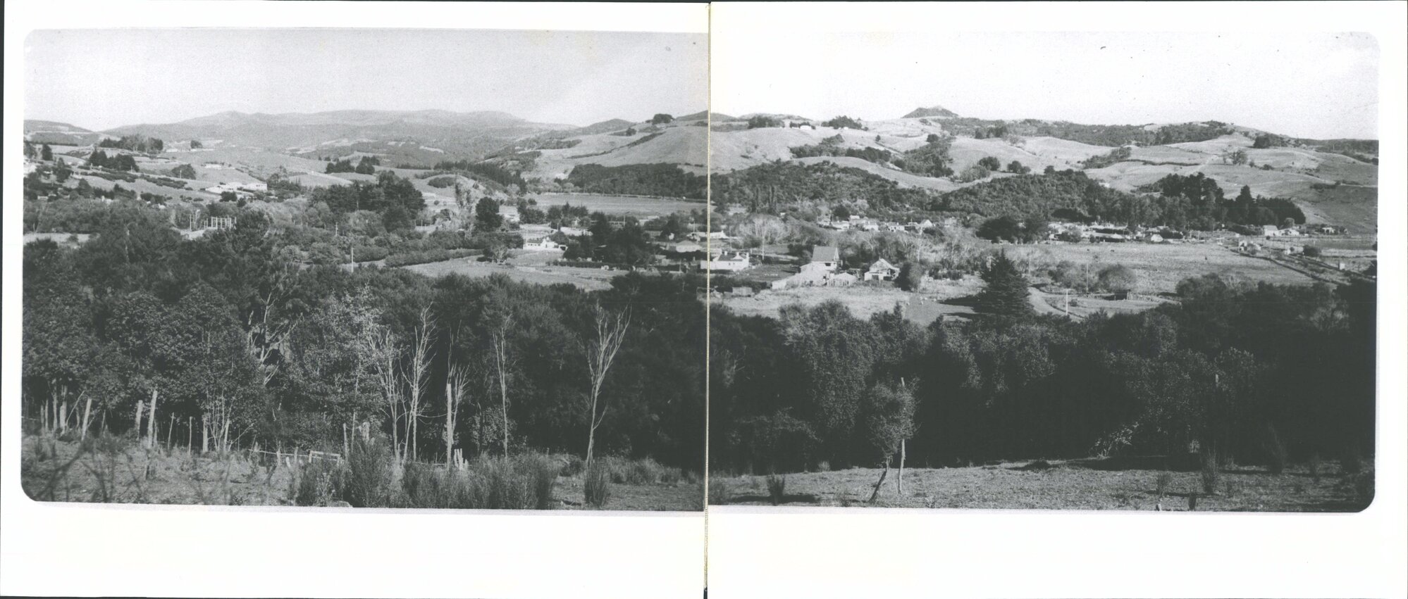 Waitati Panorama from Hill on Doctor's Point Road