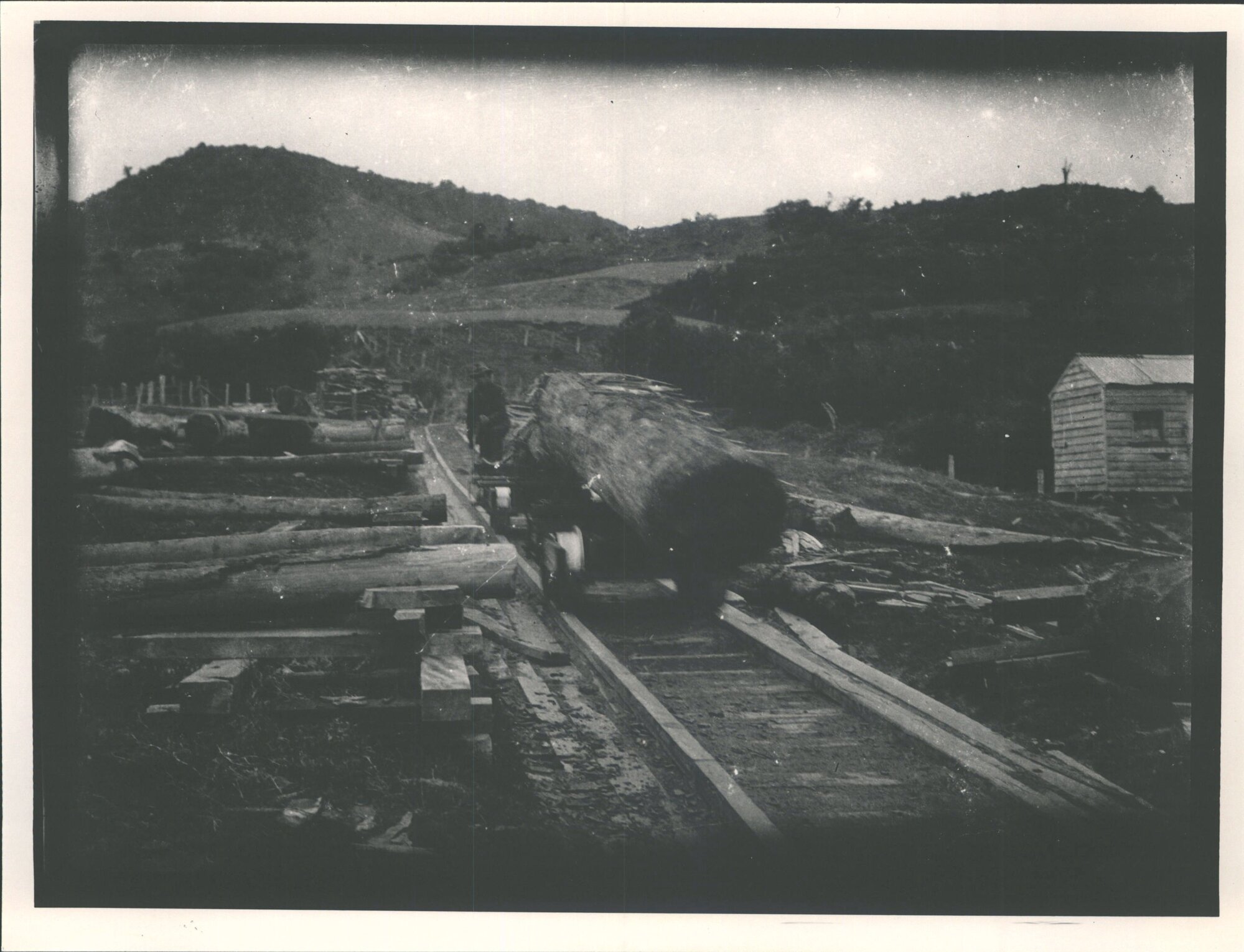 David Booth's Sawmill - Head of tramline