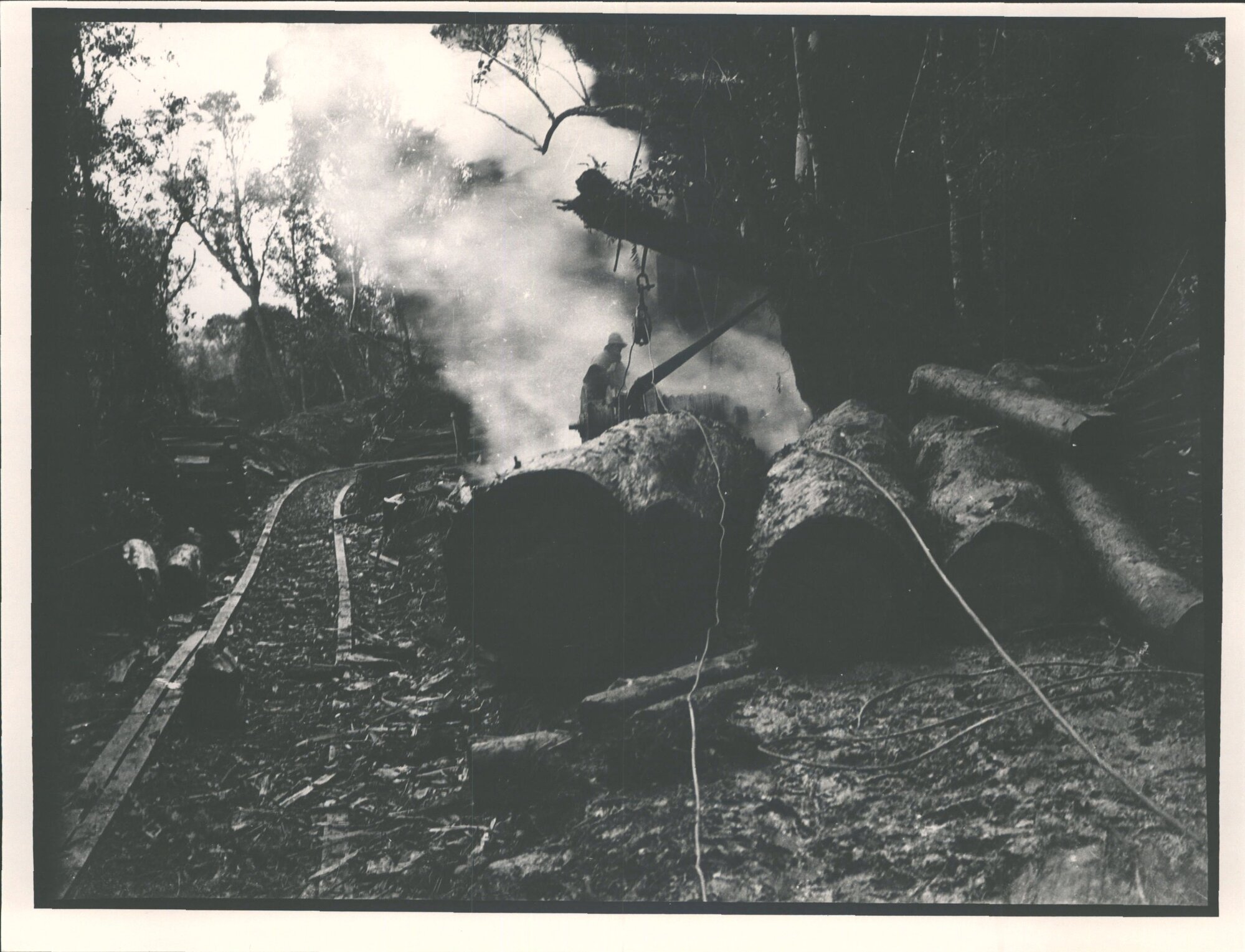 David Booth's Sawmill - Logging by tramline