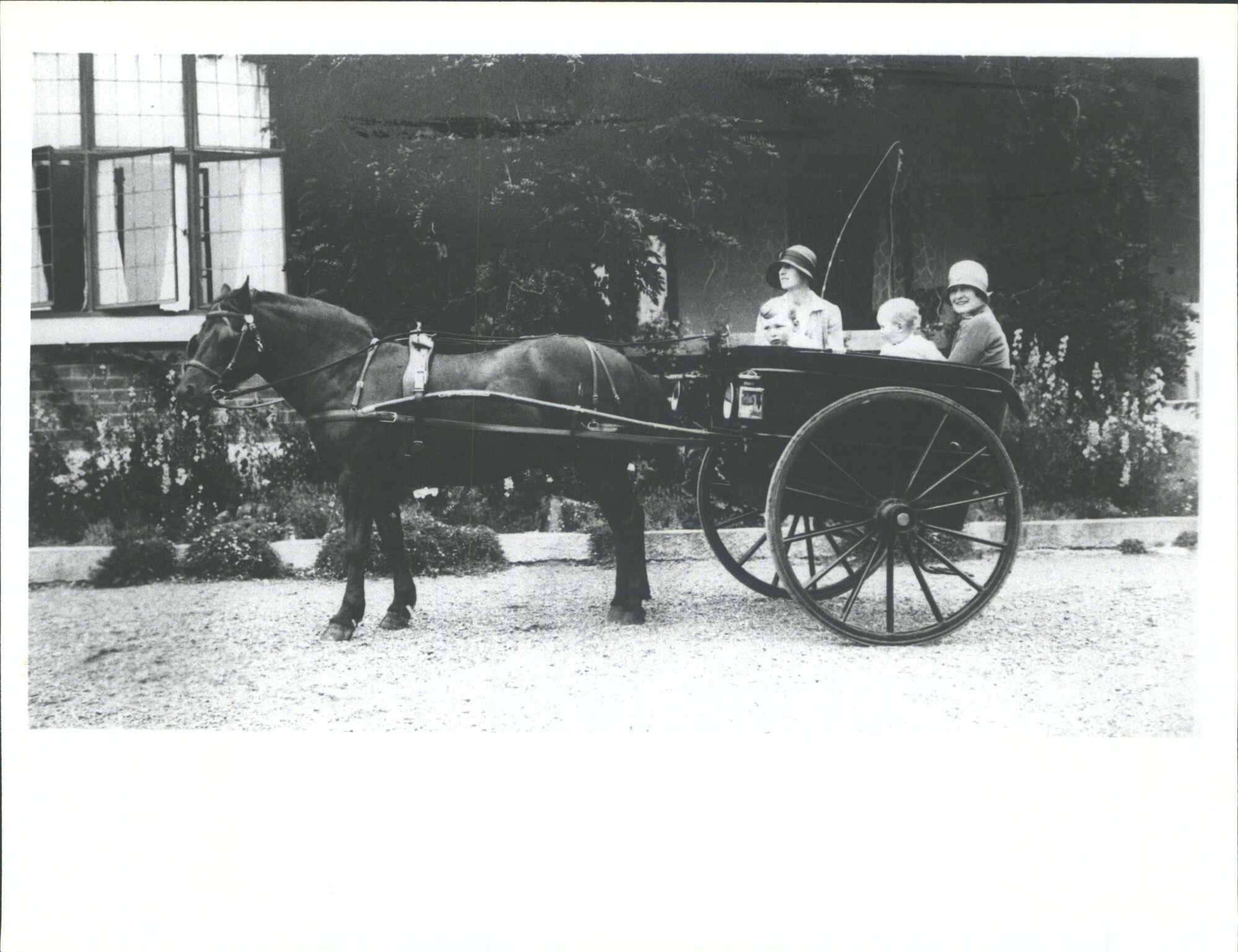 Daughters &amp;  grandchildren of Mr &amp; Mrs J.A. Johnstone