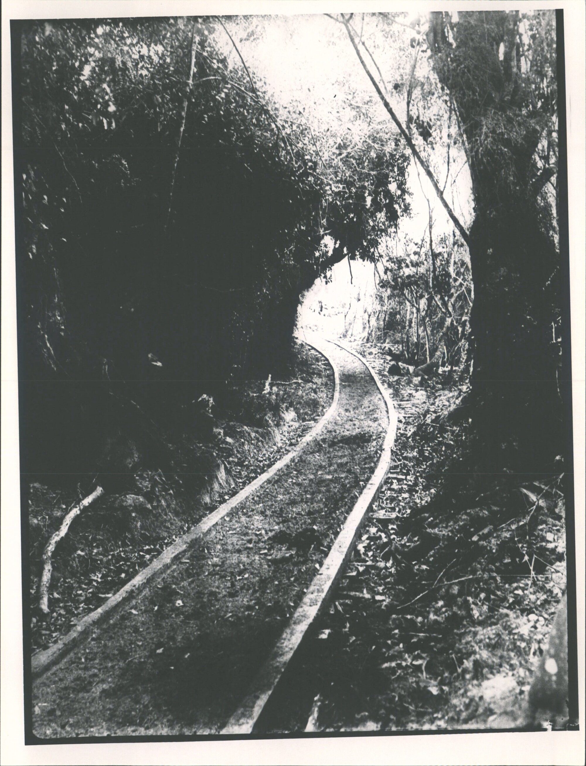 David Booth's Sawmill - Tramline