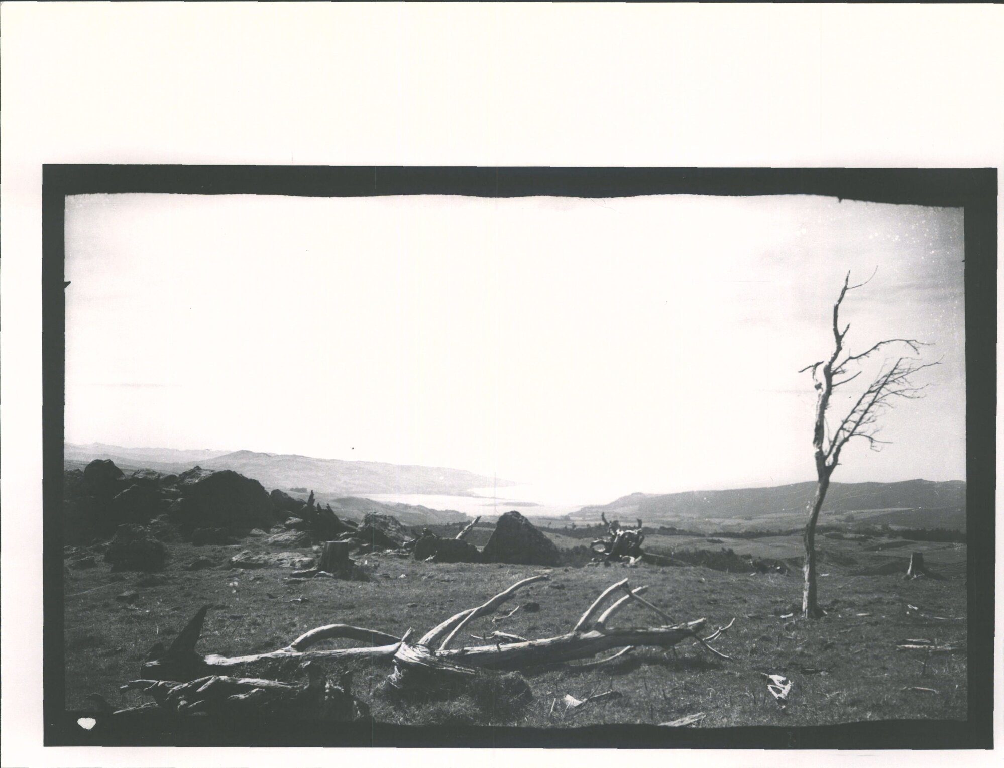 Waitati Valley and Blueskin Bay