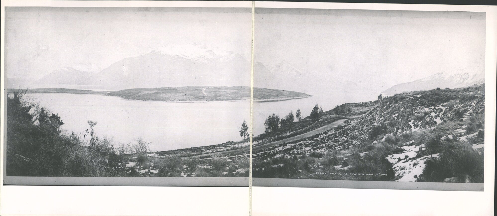 View from Frankton Road, Lake Wakatipu, N.Z.