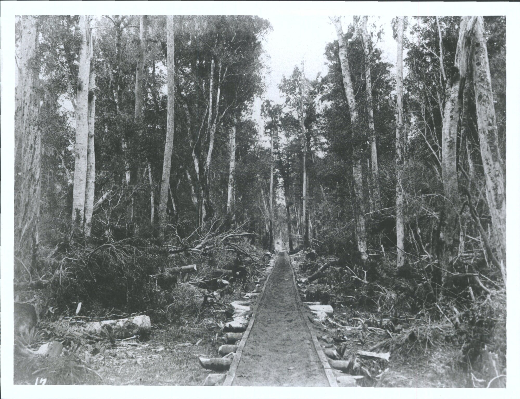Possibly up to the Sawmills at Head of Lake Wakatipu