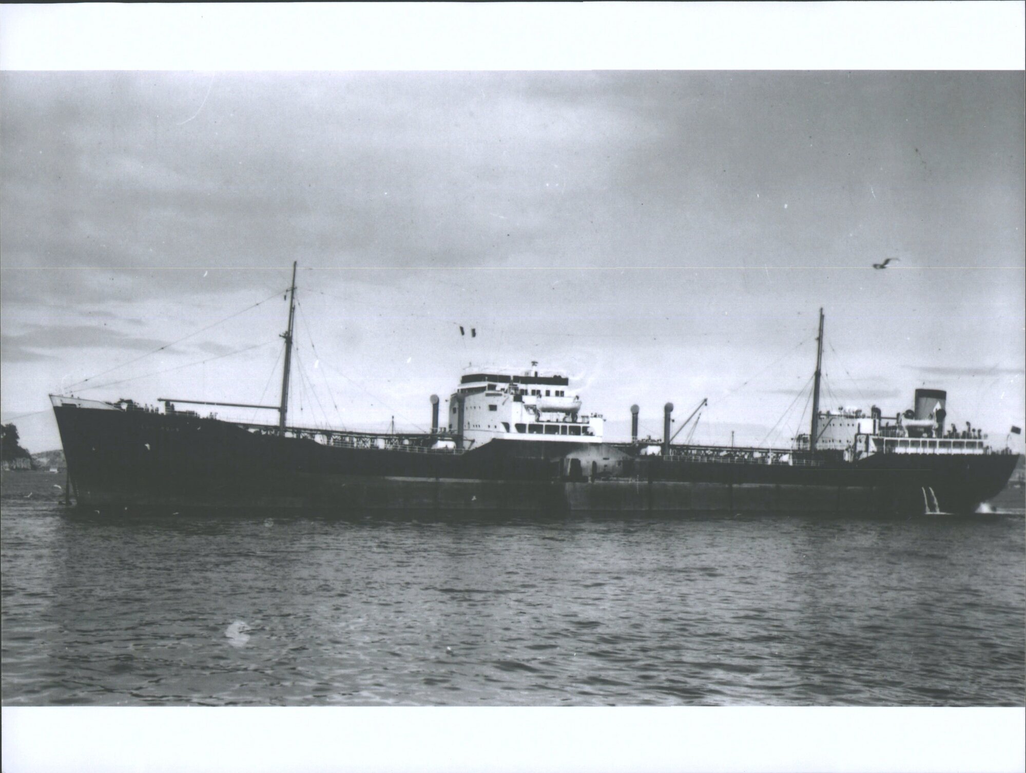 LABURNUM H. M. S.