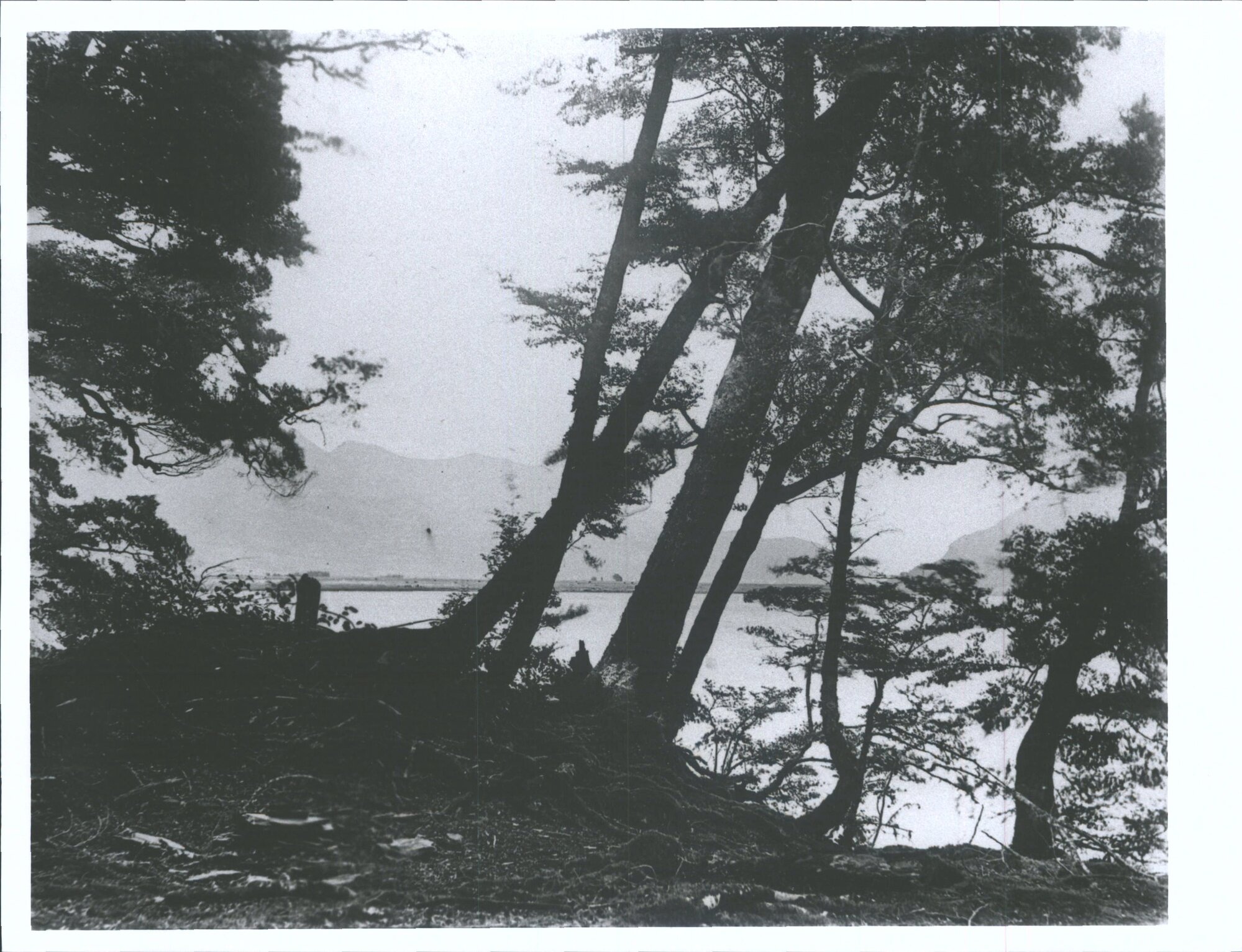 View over Lake Wakatipu
