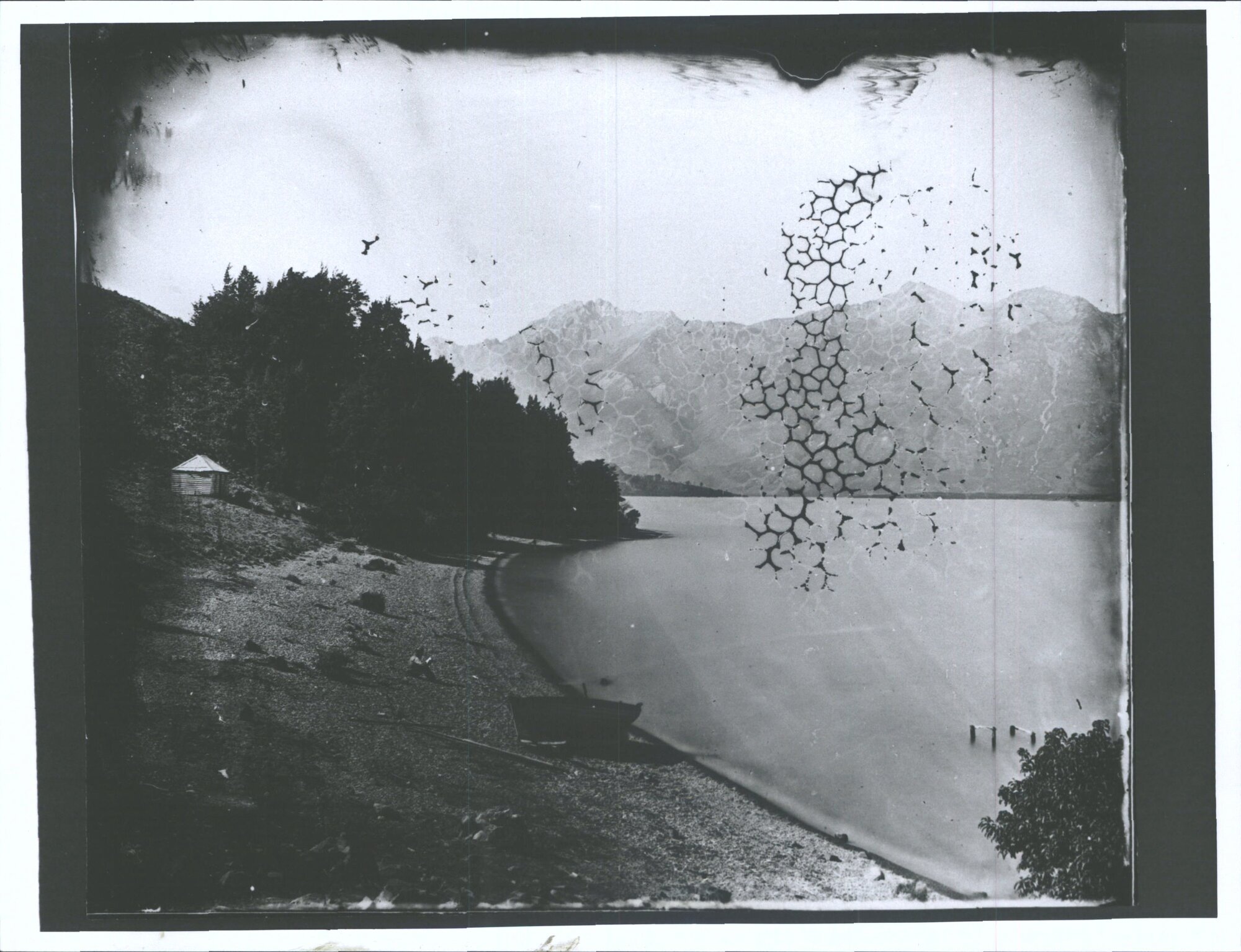 Bob's Cove, Lake Wakatipu, N.Z.