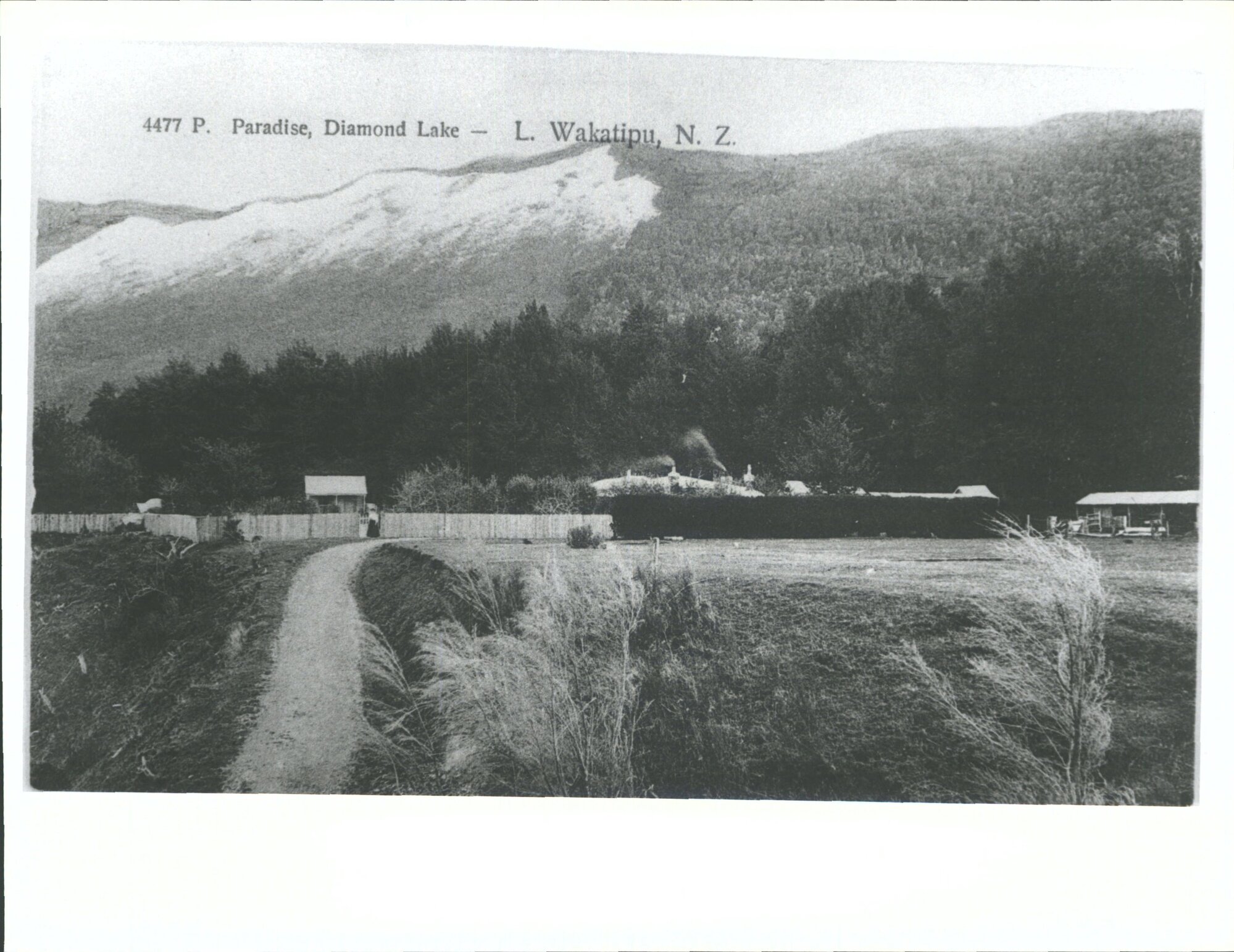 Paradise, Diamond Lake, Lake Wakatipu