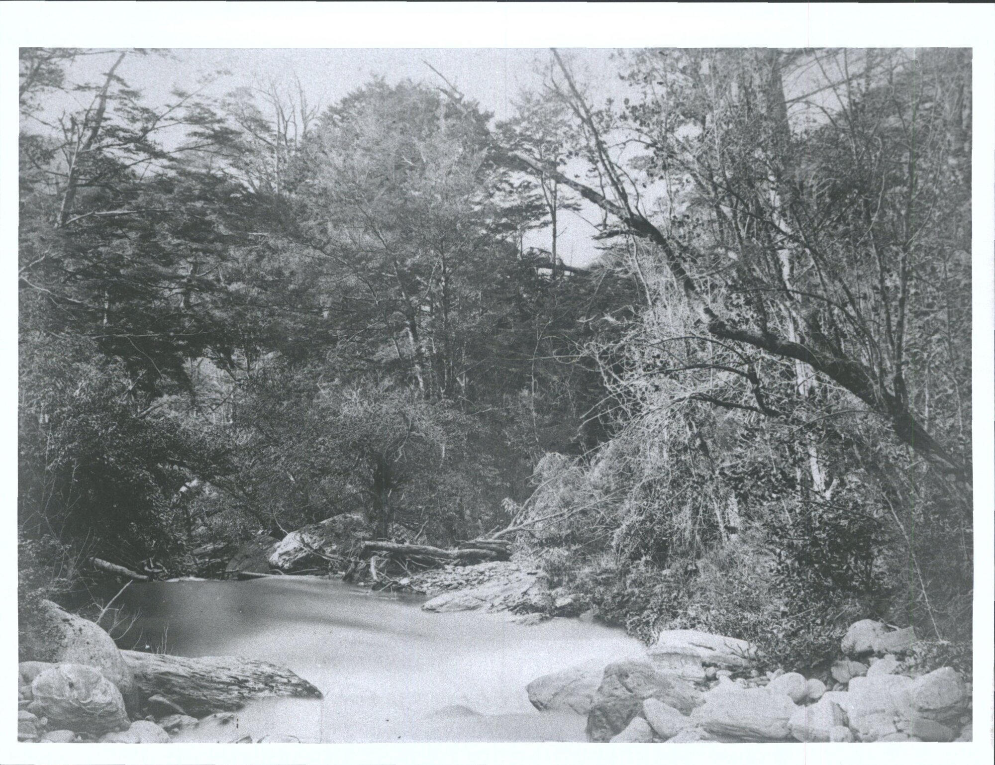 On the Short Burn, Halfway Bay near Wakatipu