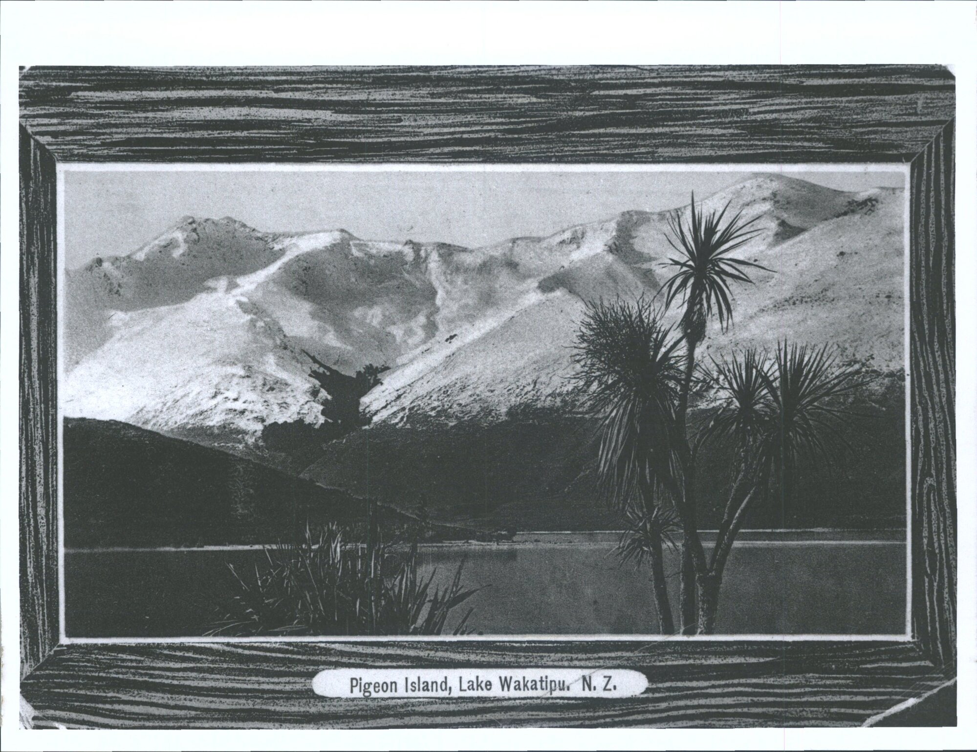 Pigeon Island, Lake Wakatipu, N.Z.