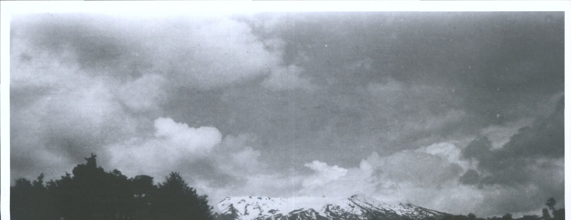 "from Haunted Whare"