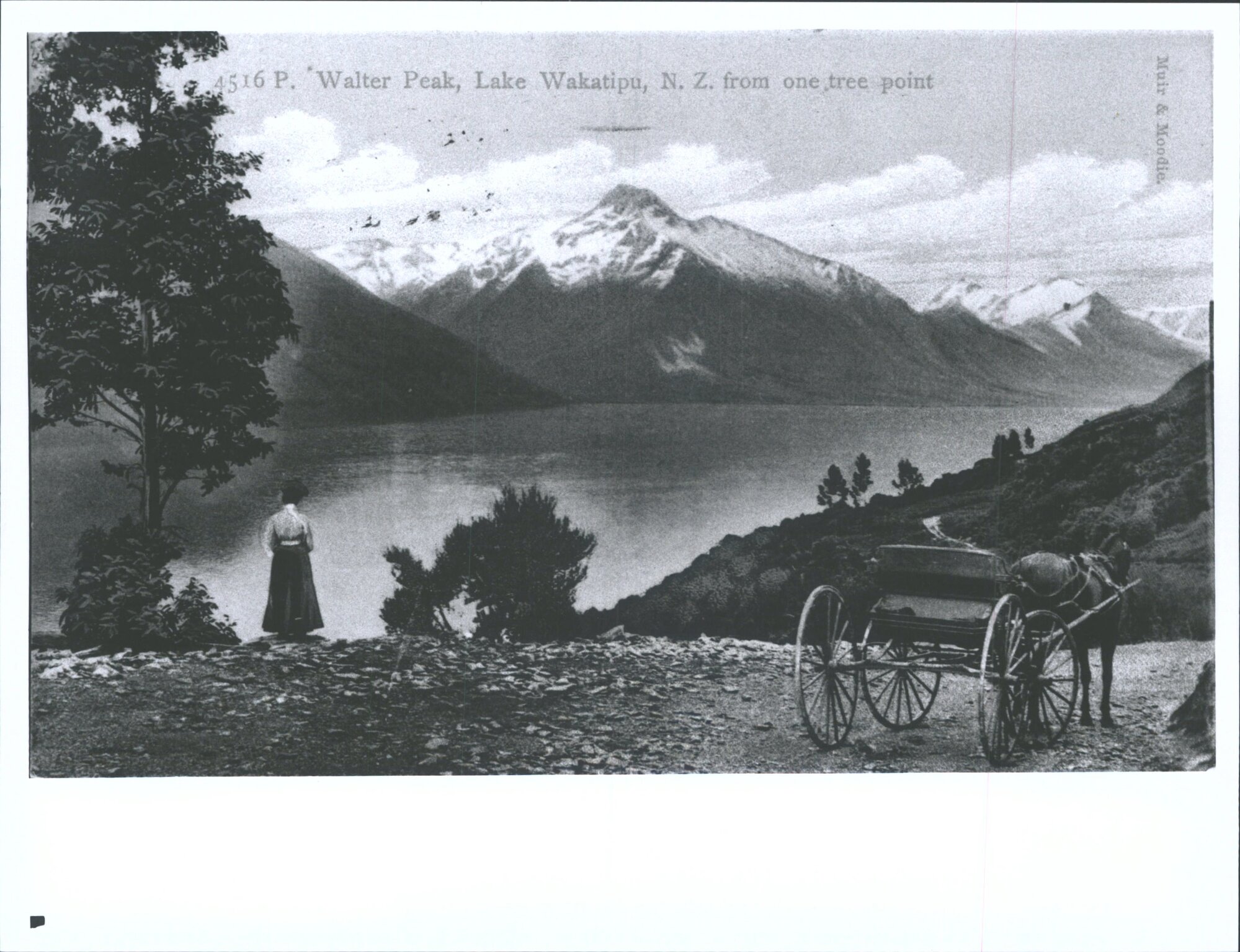 Walter Peak, Lake Wakatipu, N.Z. from One Tree Point