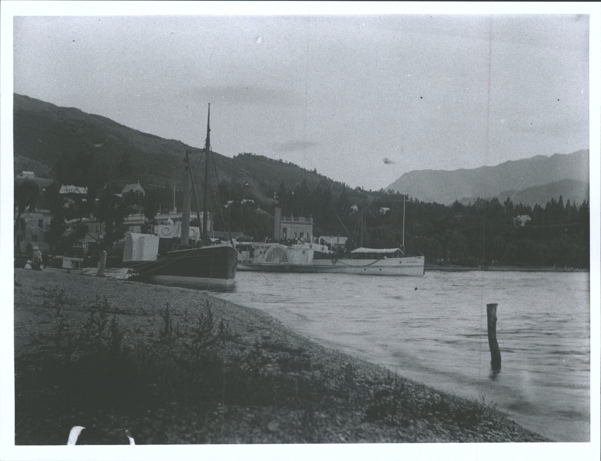 P.S. Mountaineer and P.S. Antrim at Queenstown