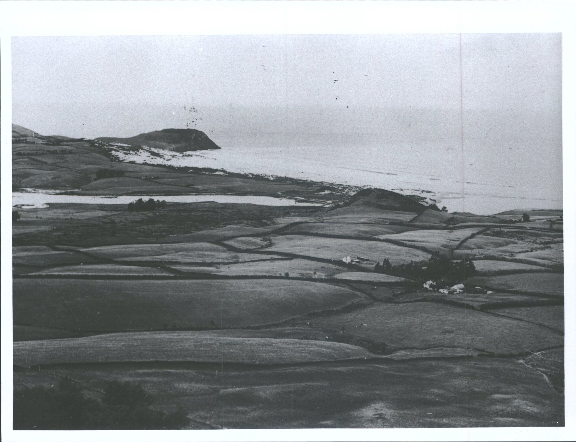 Mouth at Kaikorai Steam