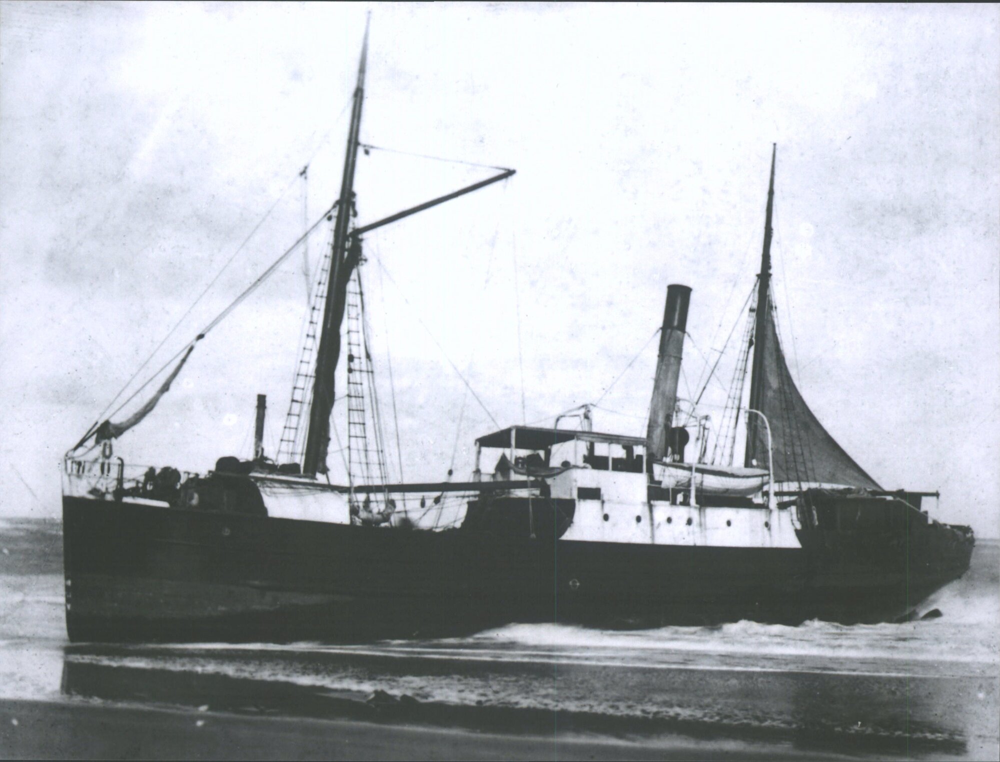 Moa (Steamship)