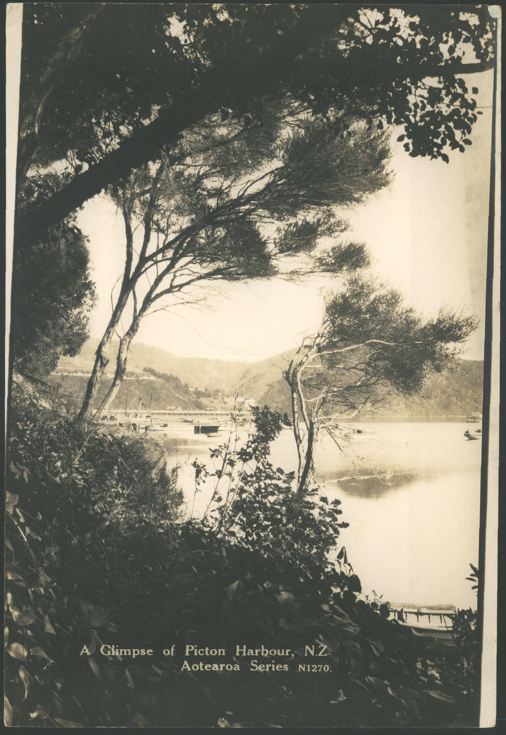 A glimpse of Picton Harbour