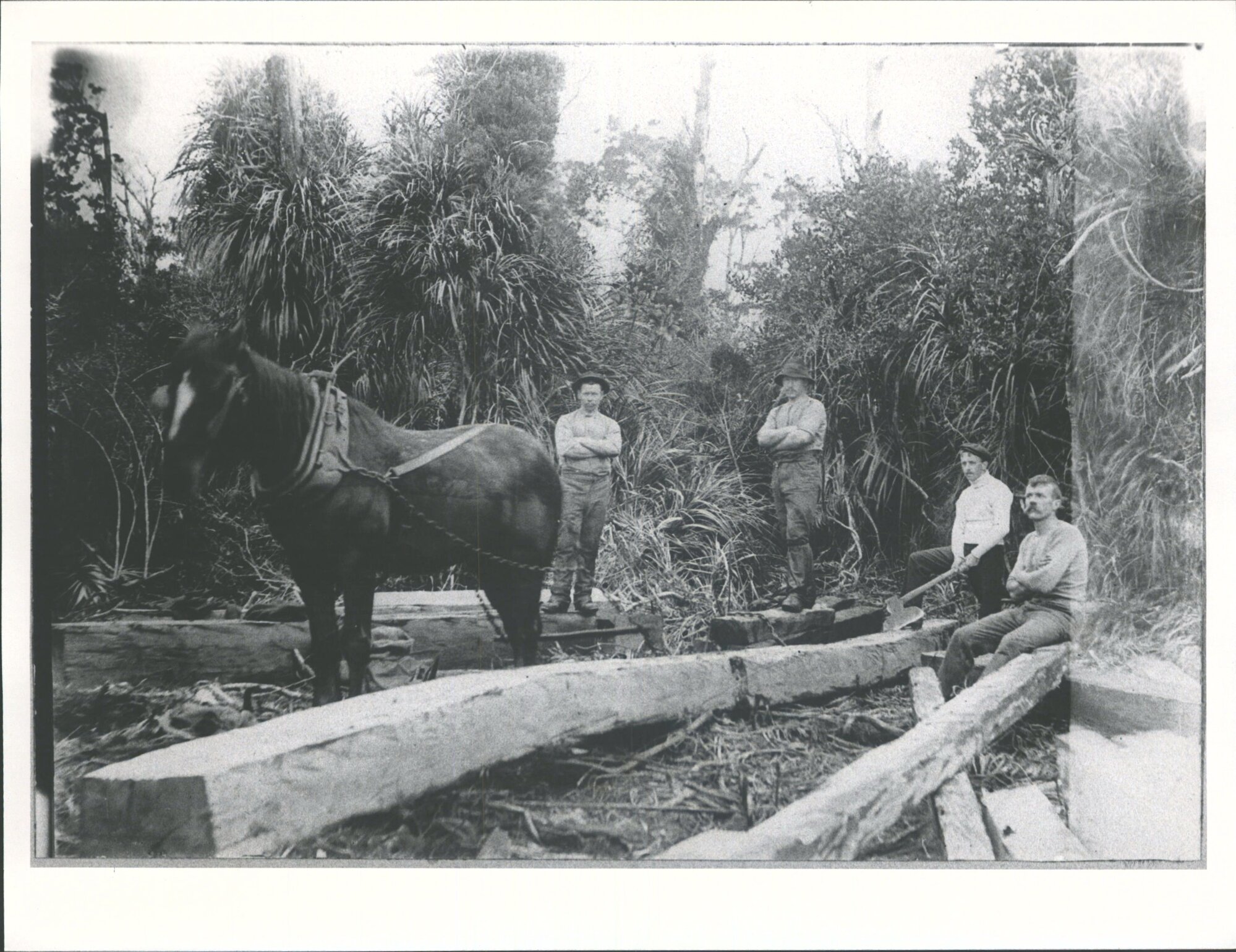 "Horse amazing with a load"