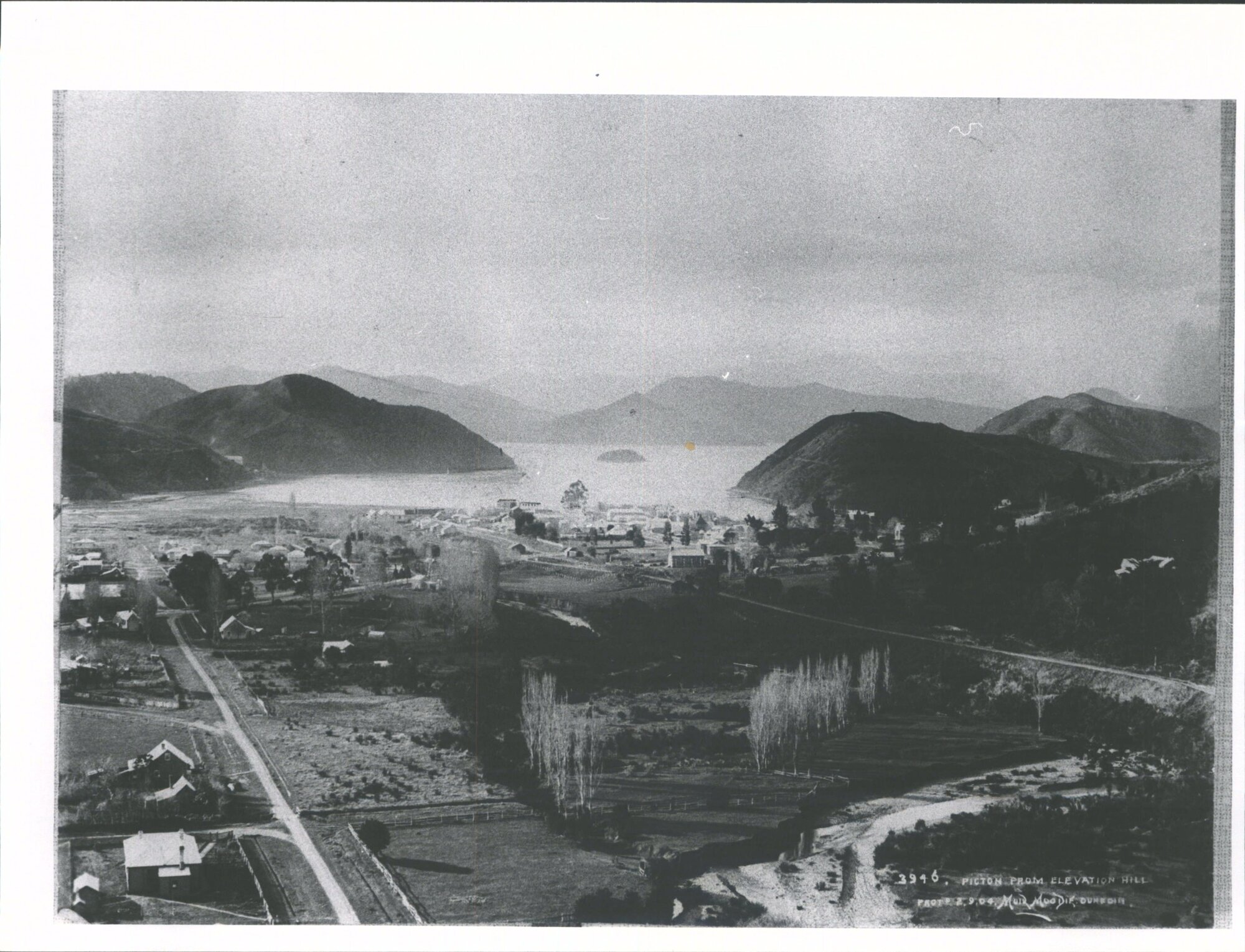 Picton from Elevation Hill