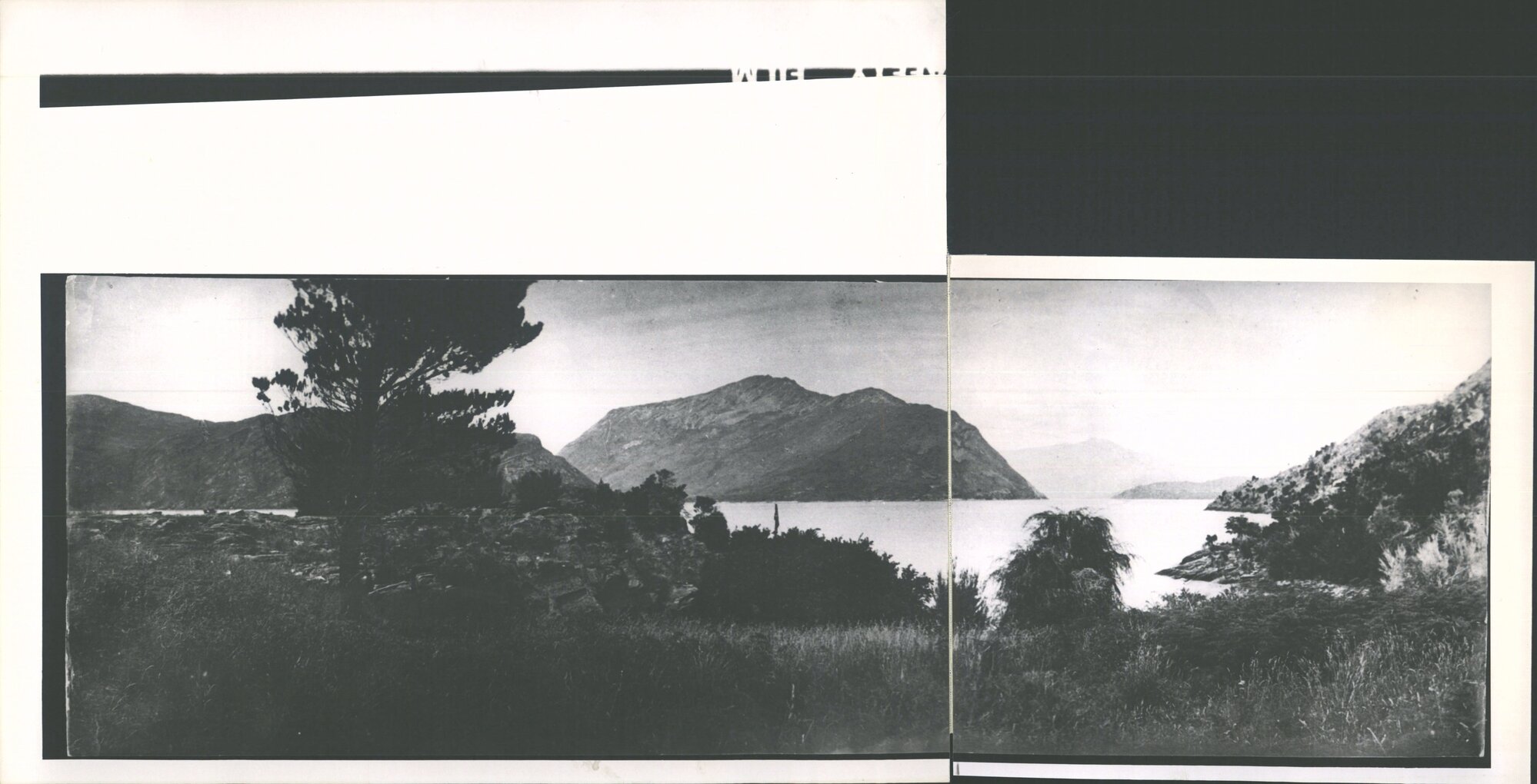 Lake Wanaka panorama