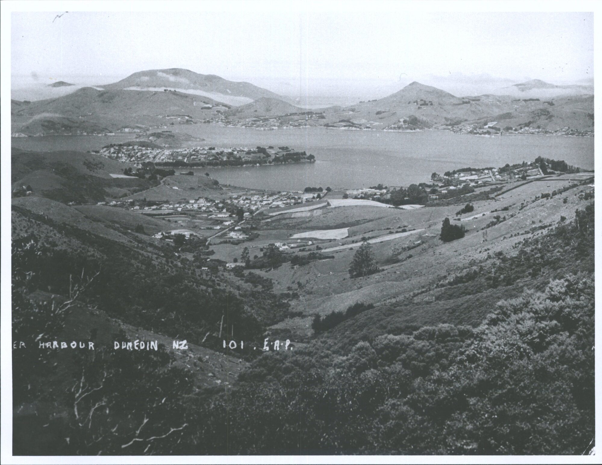 Lower Harbour, Dunedin, N.Z., from Upper Junction