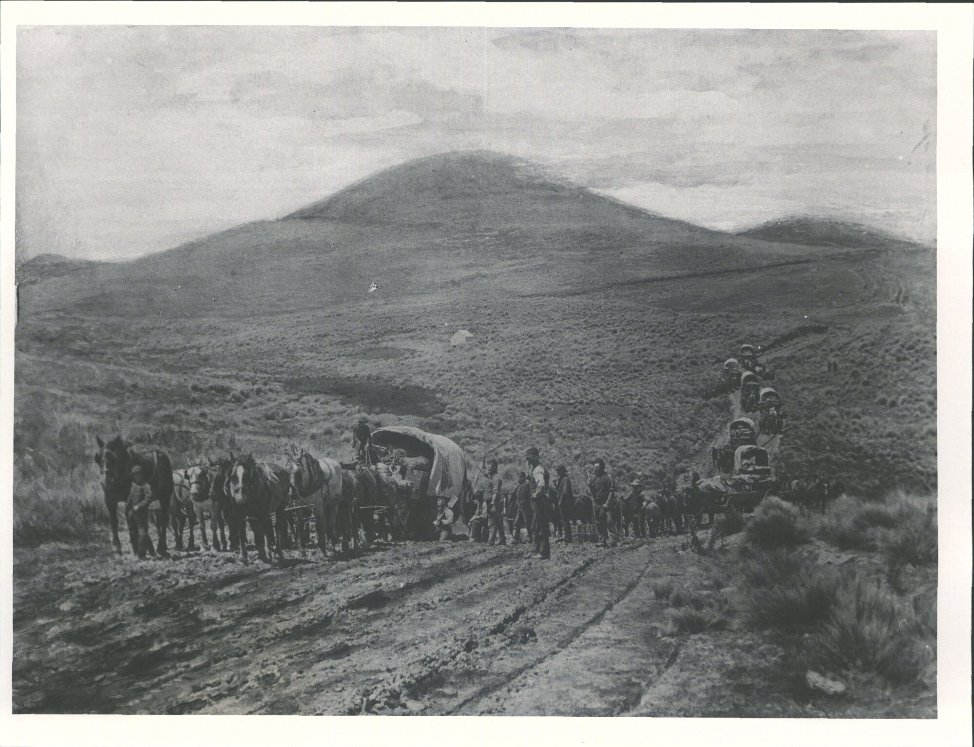 Wagons on the Pigroot