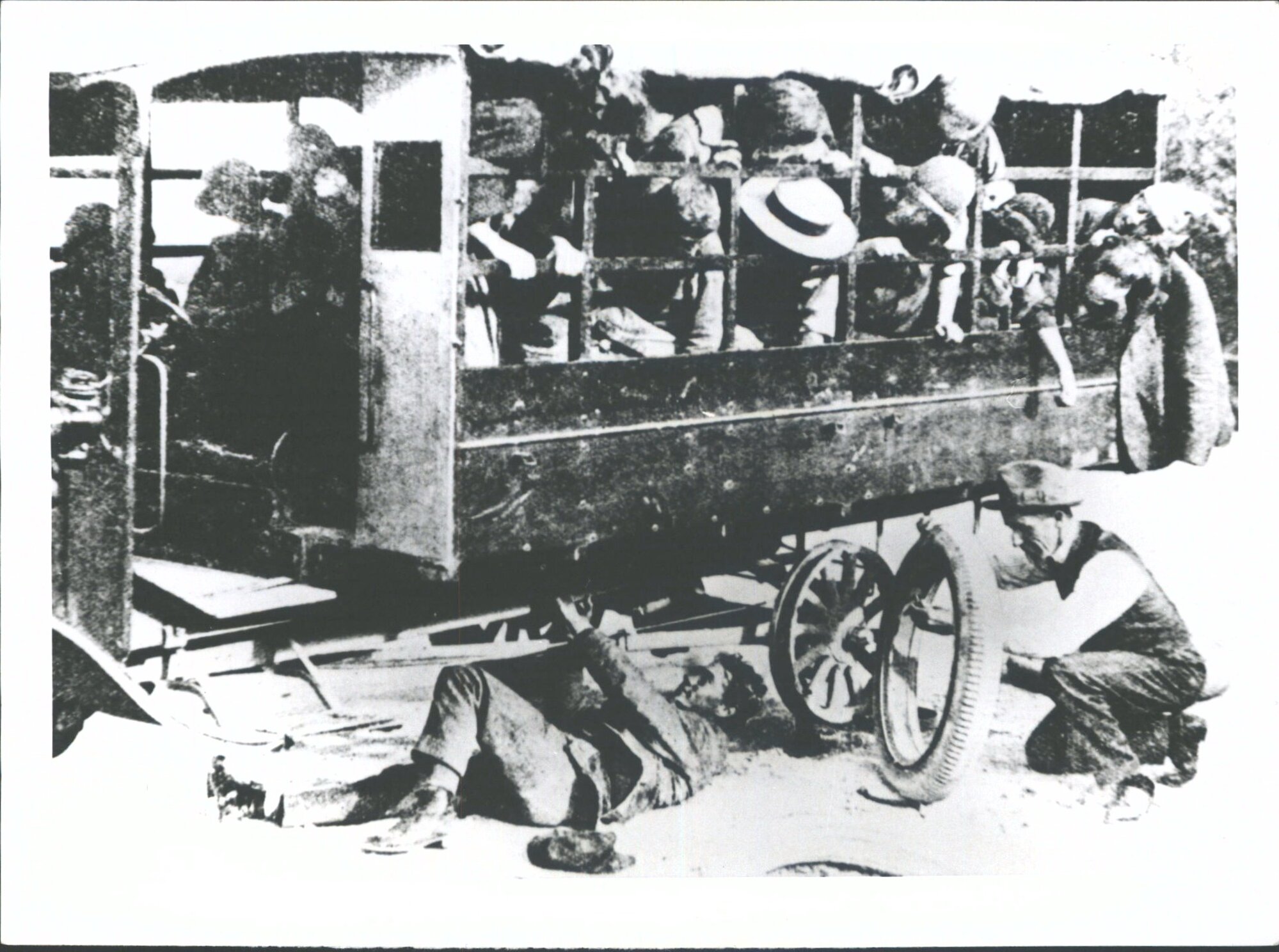 School bus