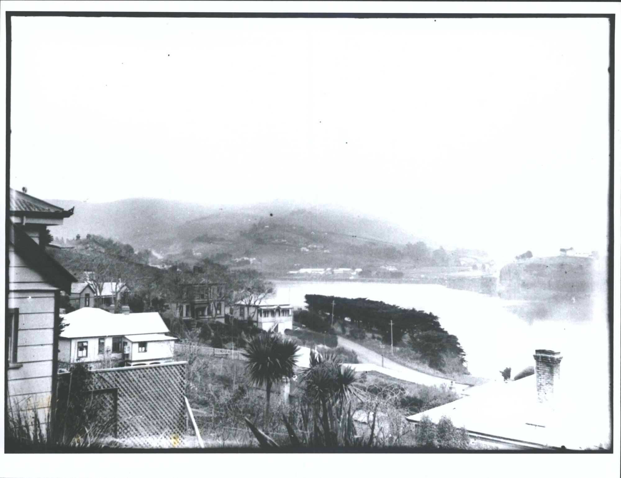 Sawyers Bay from Port Chalmers