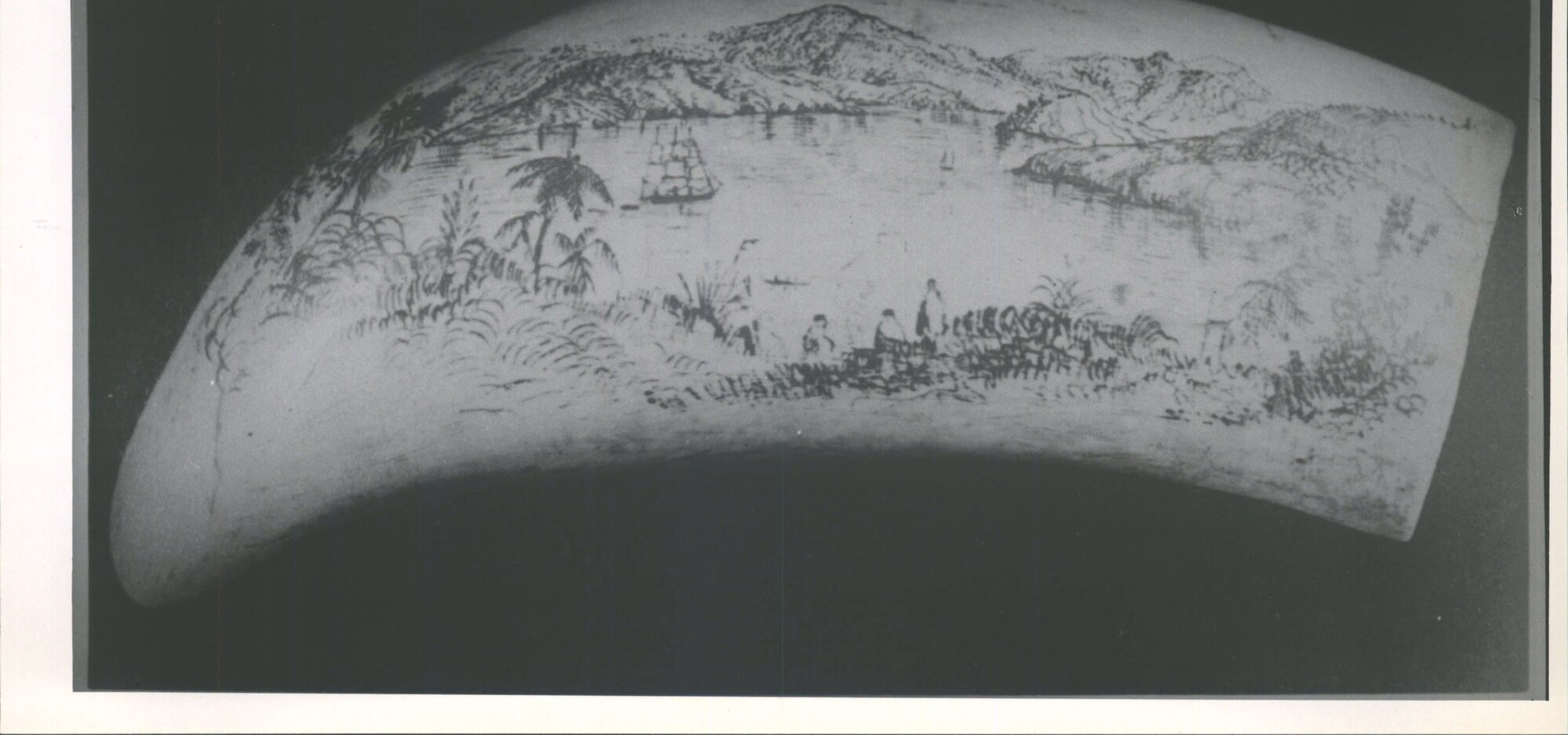 Akaroa Harbour on a Whale Tooth