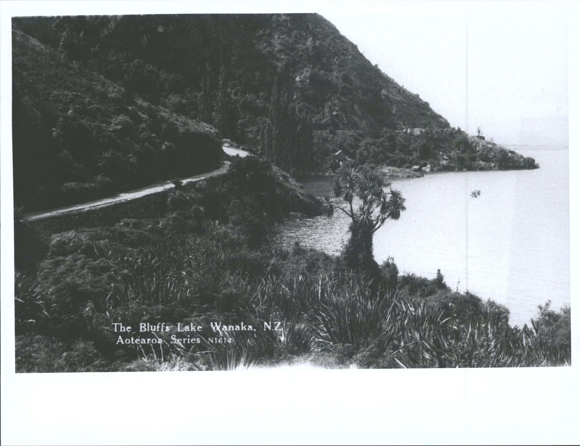 The Bluffs, Lake Wanaka, N.Z.