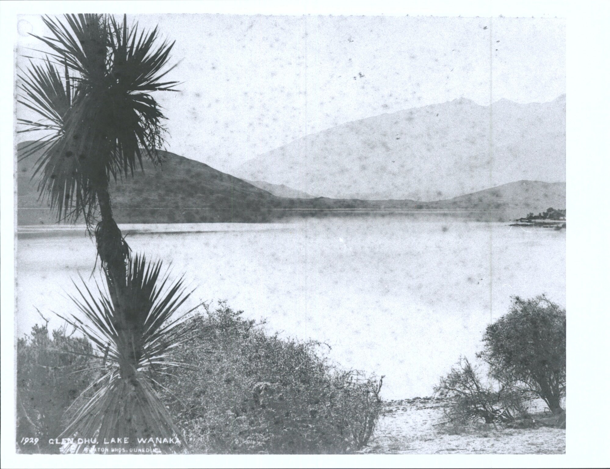 Glen Dhu, Lake Wanaka