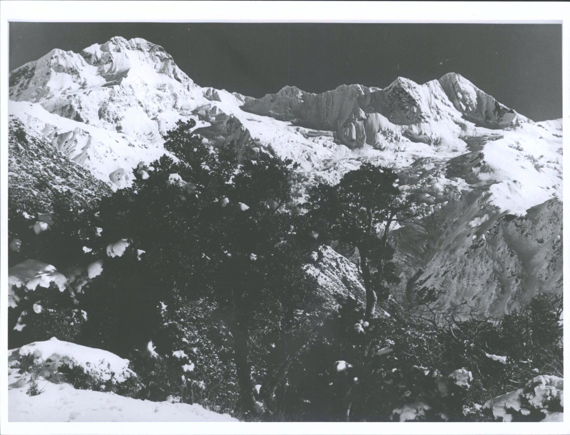 Mount Sefton and the Footstool from the Hermitage grounds