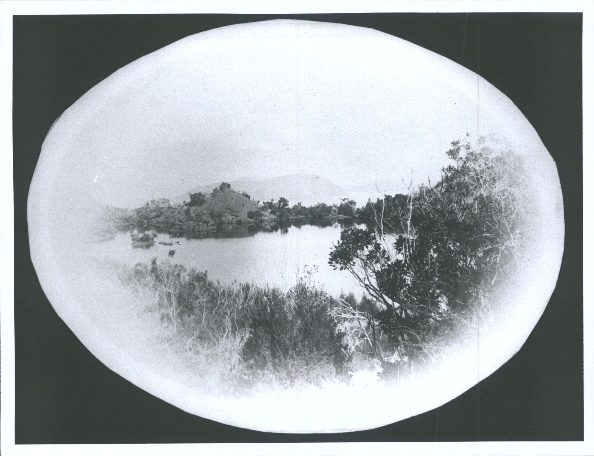 On Pigeon Island looking at Manuka Island