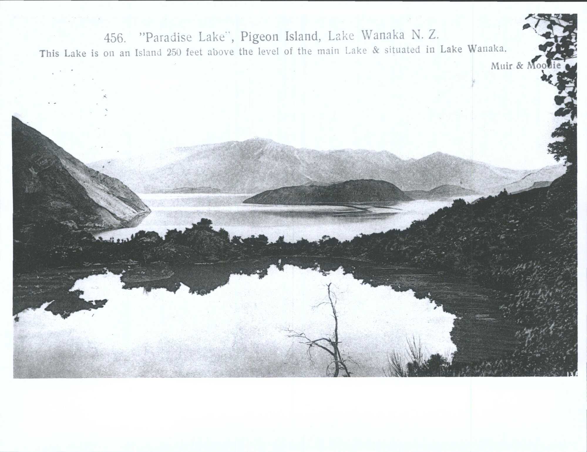 "Paradise Lake", Pigeon Island, Lake Wanaka, N.Z.