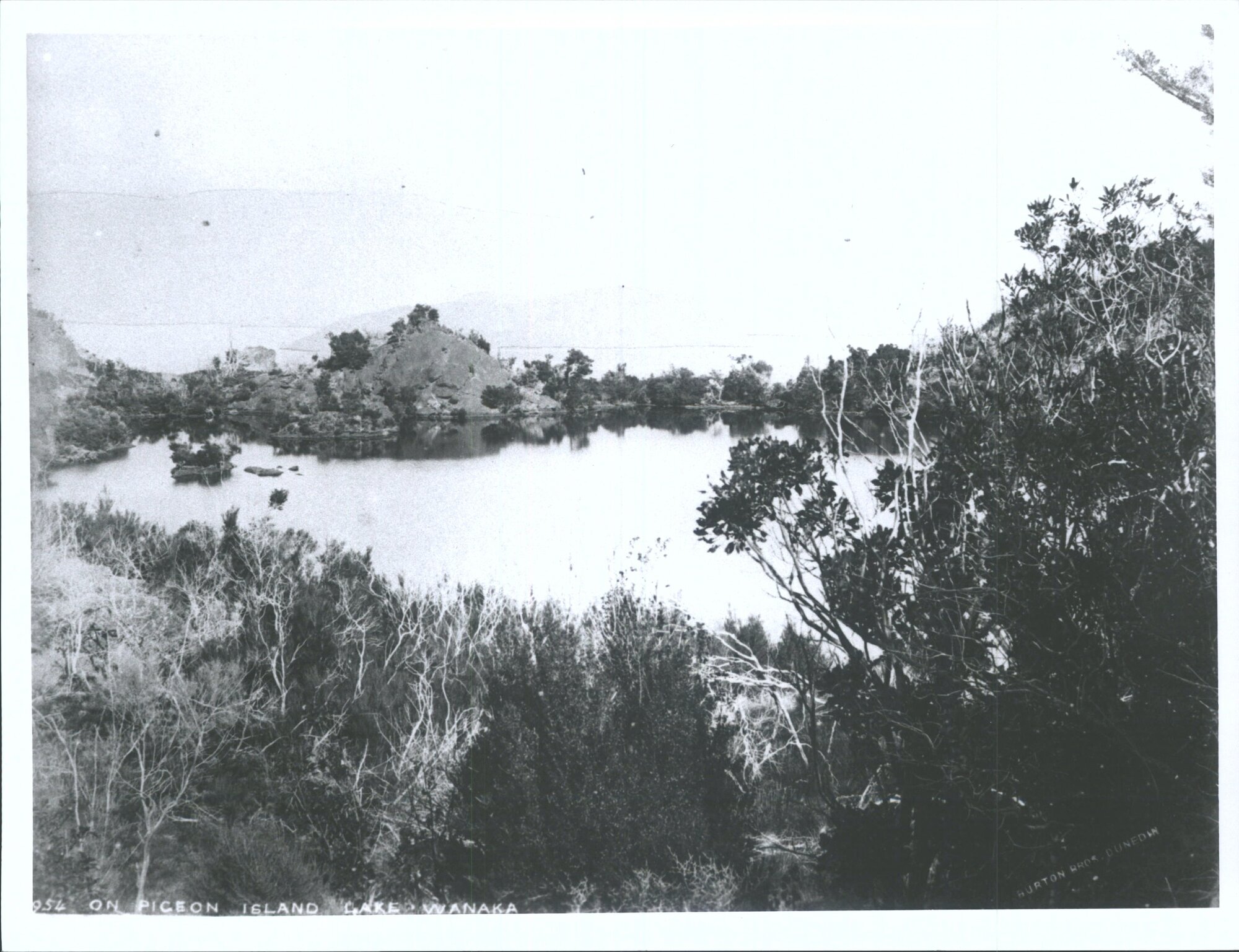 On Pigeon Island, Lake Wanaka