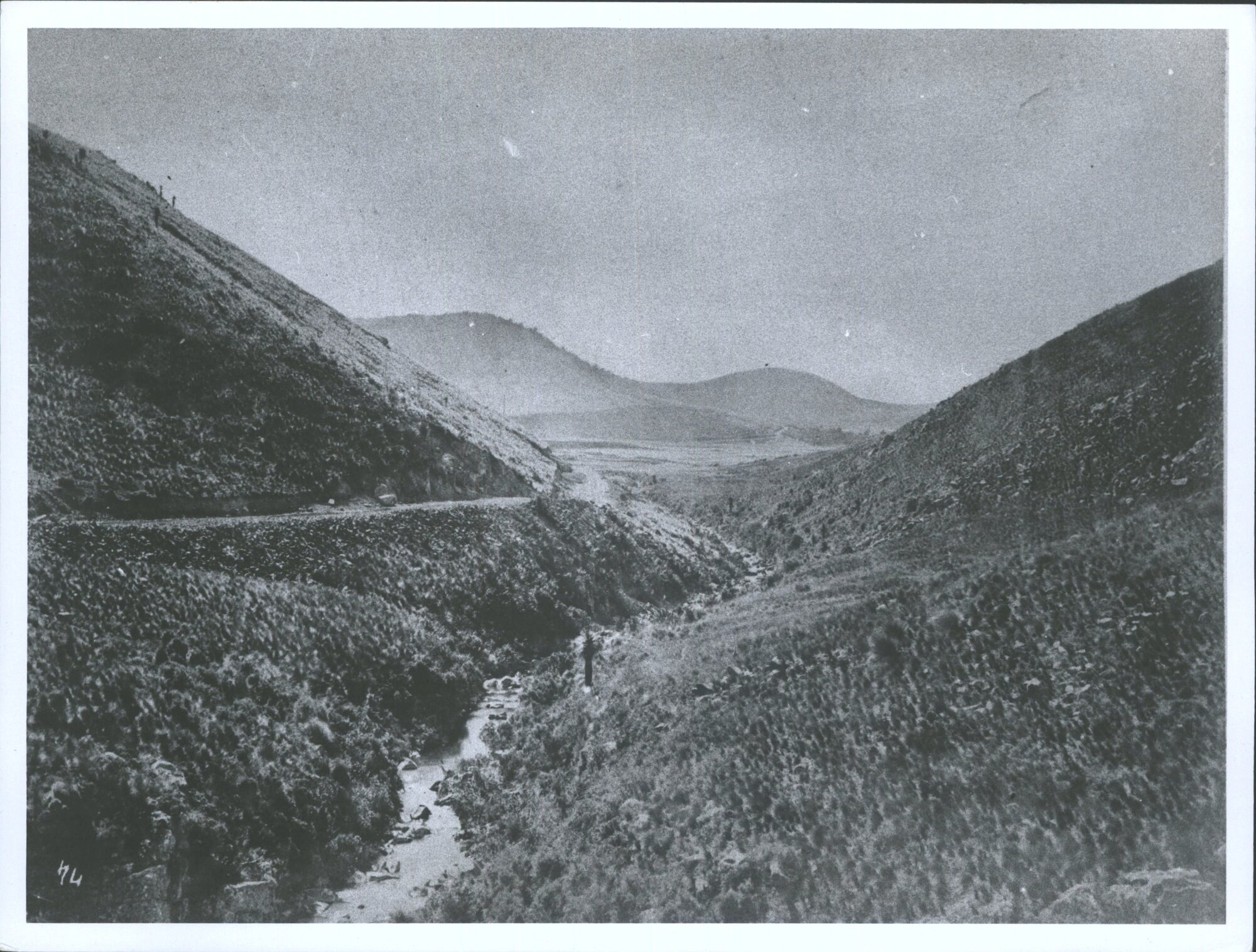 Down Popotunoa Gorge towards Clinton