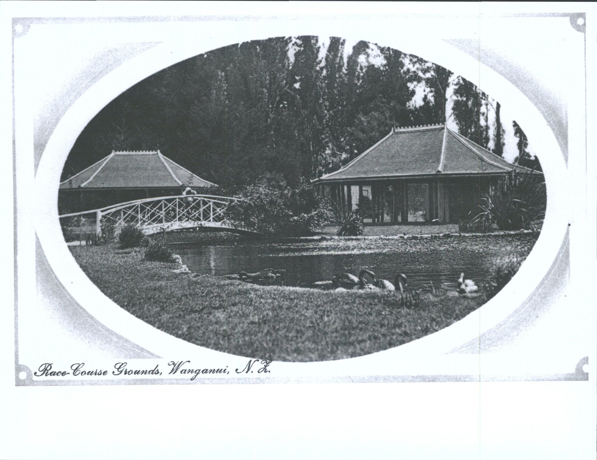 Race-Course Grounds, Wanganui, N.Z.