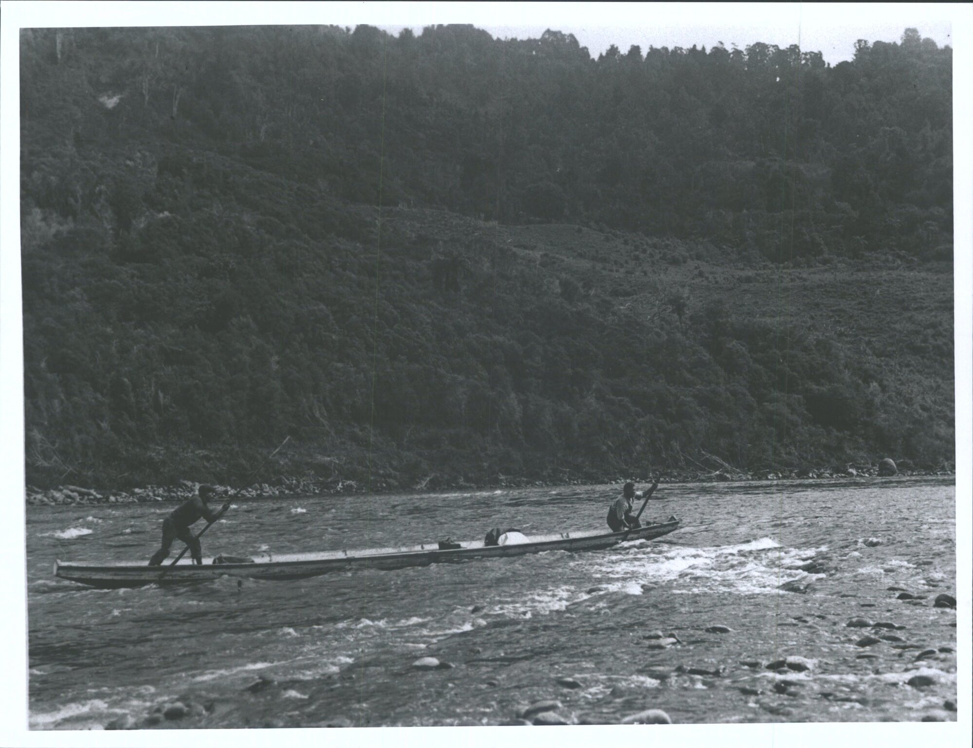 Maori canoeing on the Wanganui River
