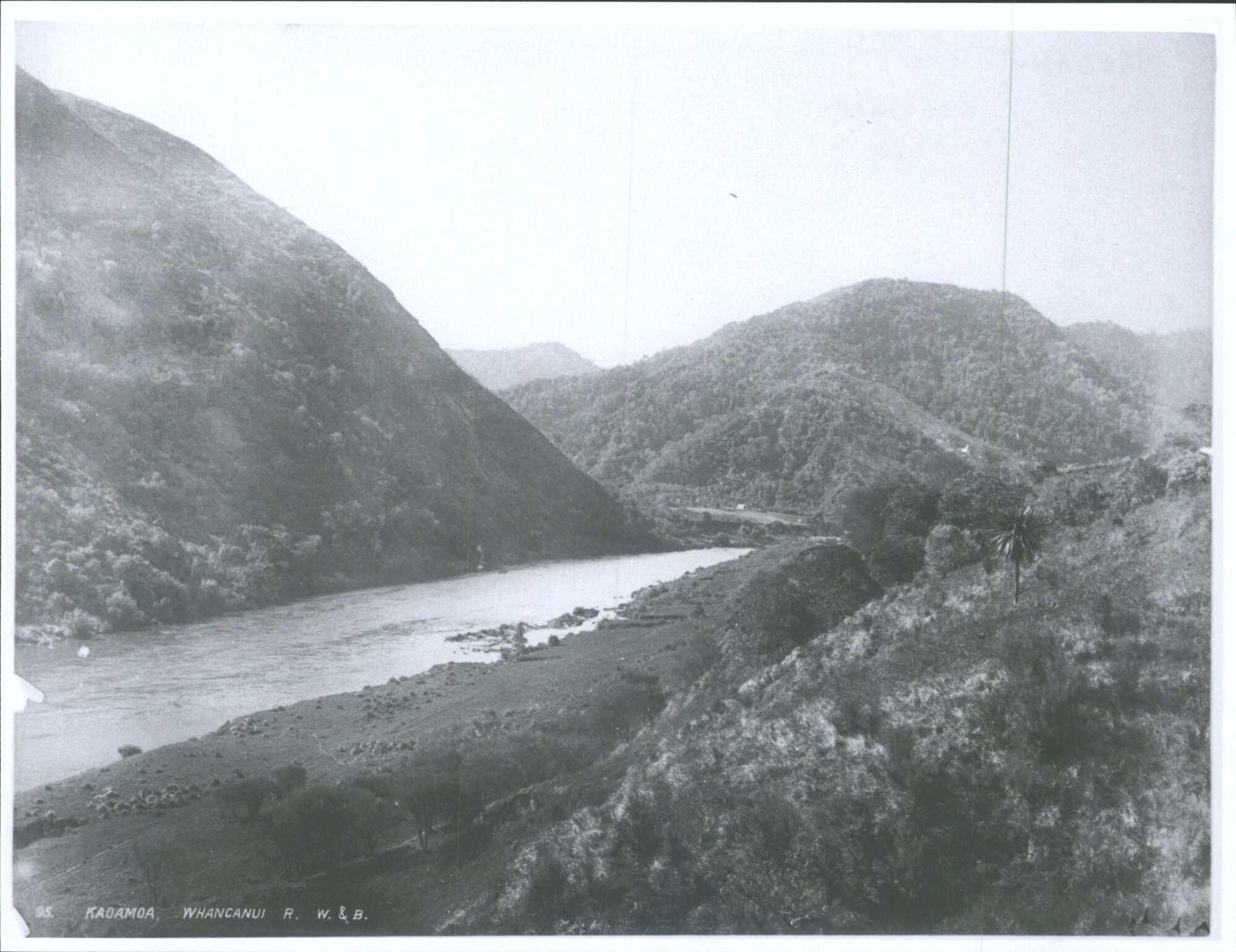 Kaoamoa, Whanganui River