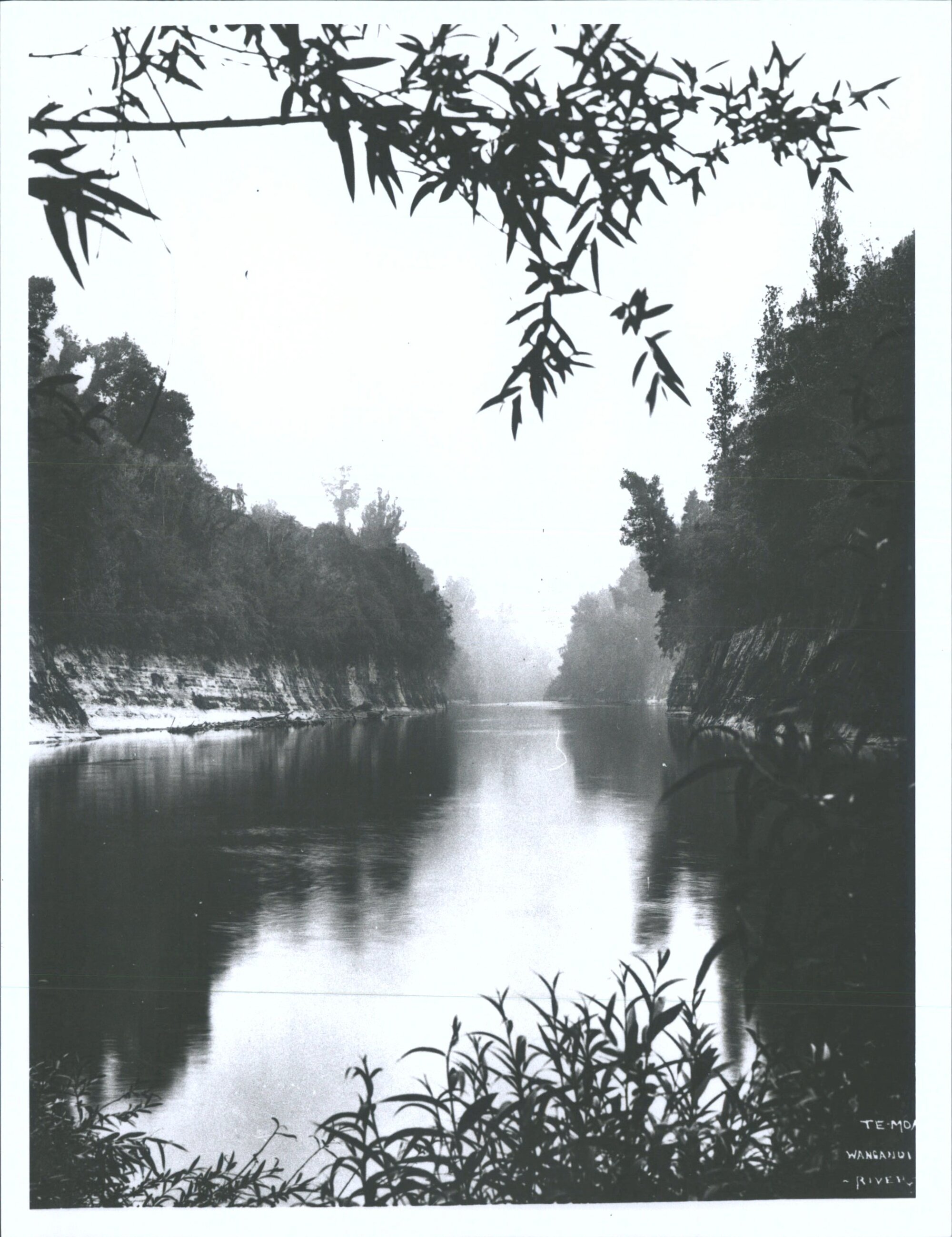 Te Moa, Wanganui River