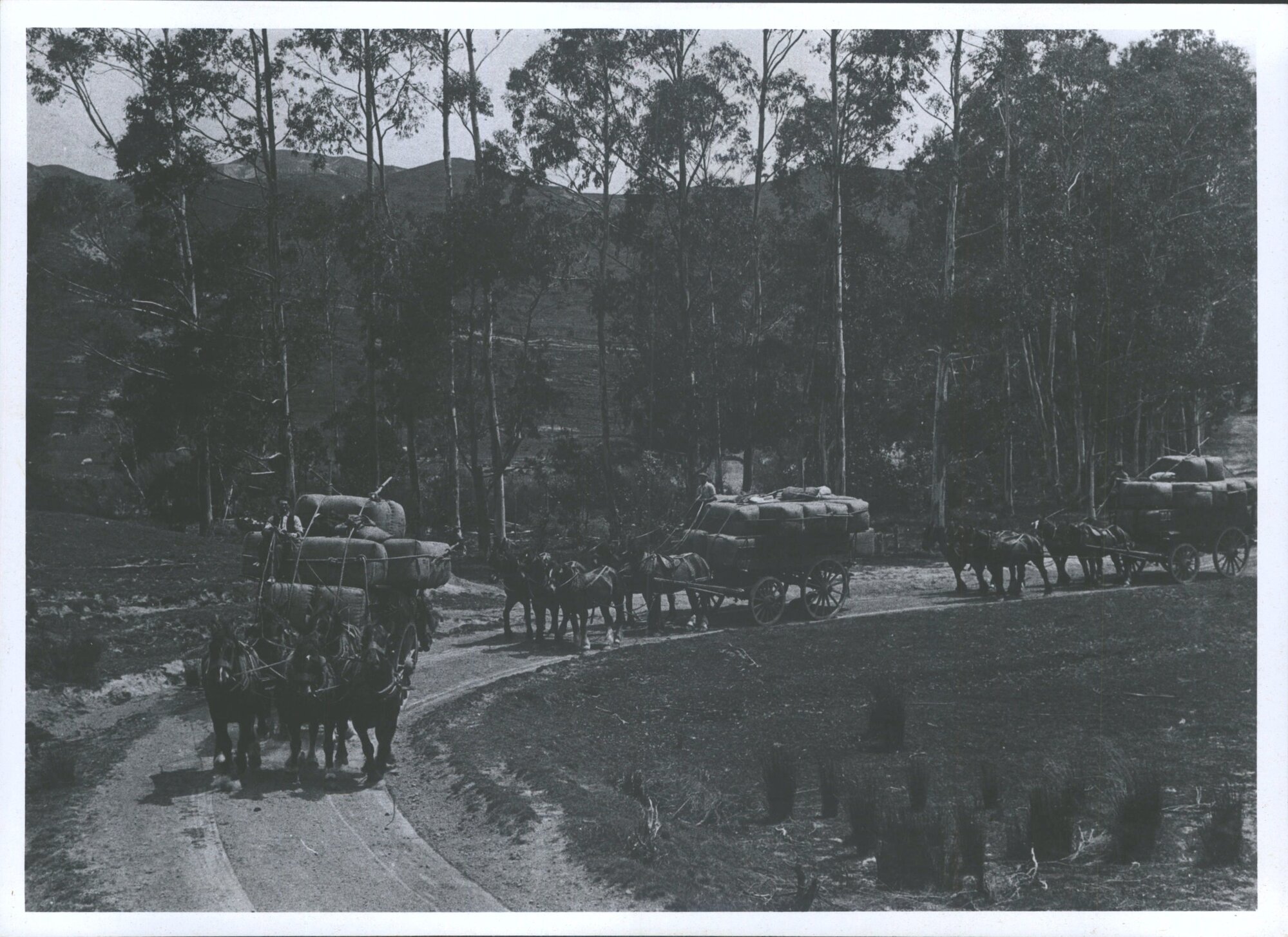 Takapua Station, Auckland Province