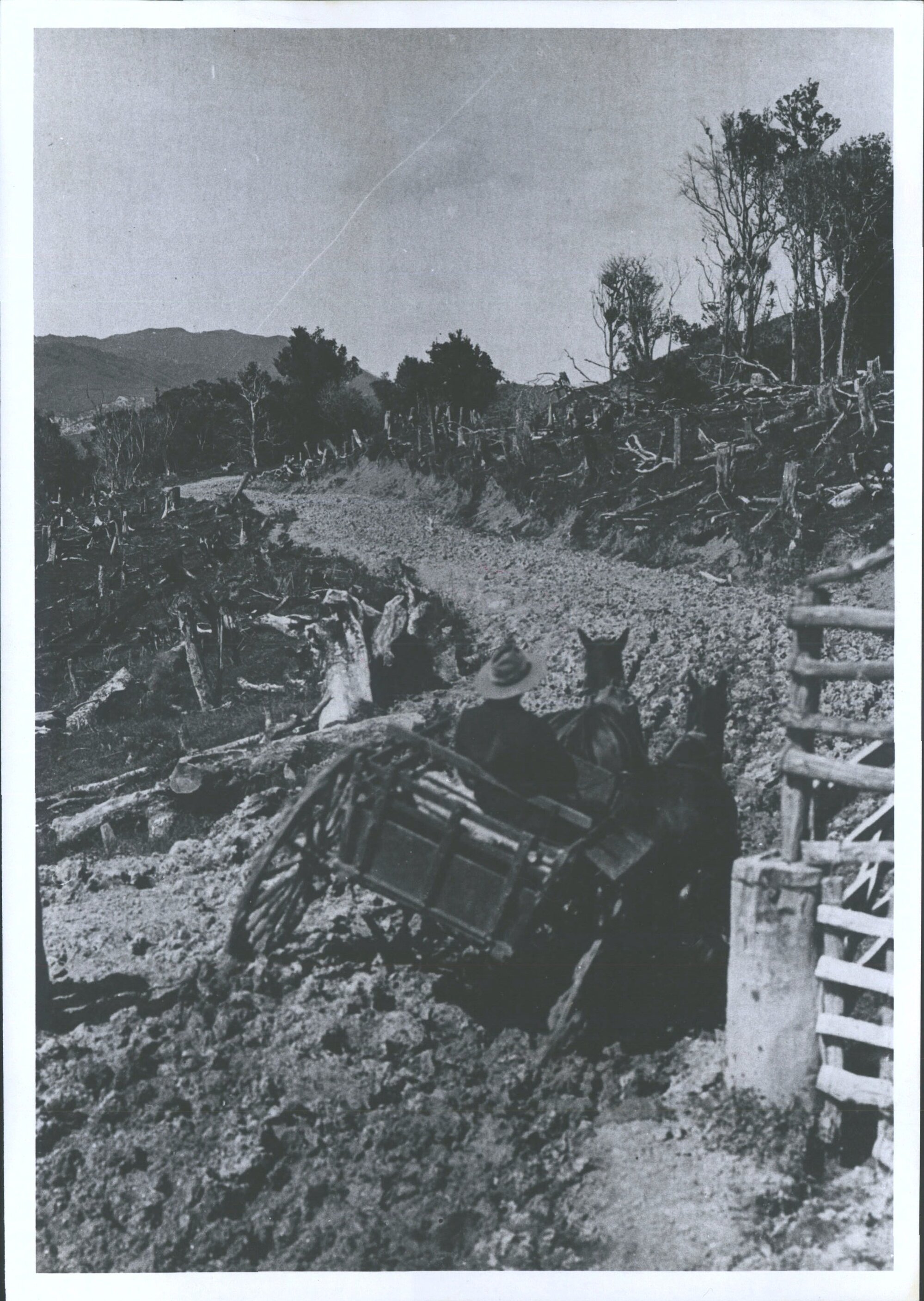 Te Puia Highway, Auckland Province