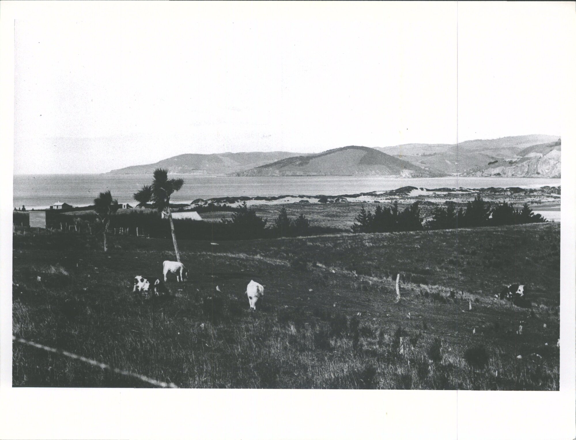 View of Warrington Beach