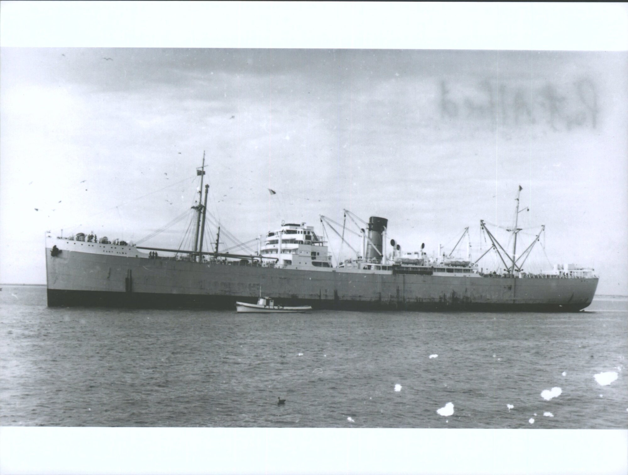 PORT ALMA