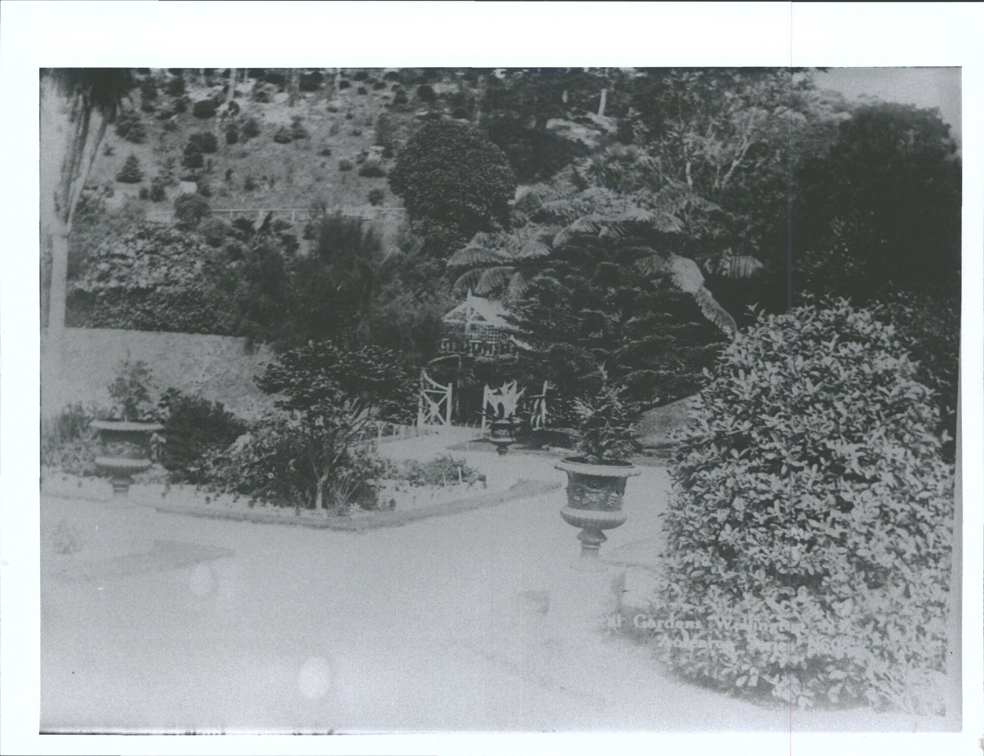 Botanical Gardens, Wellington