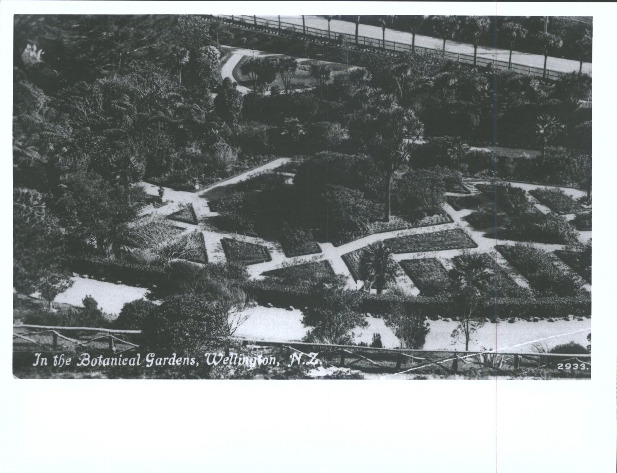 In the Botanical Gardens, Wellington, N.Z.