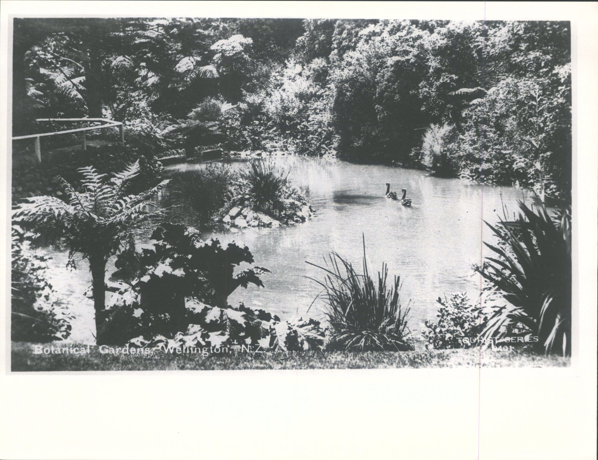 Botanical Gardens, Wellington, N.Z.