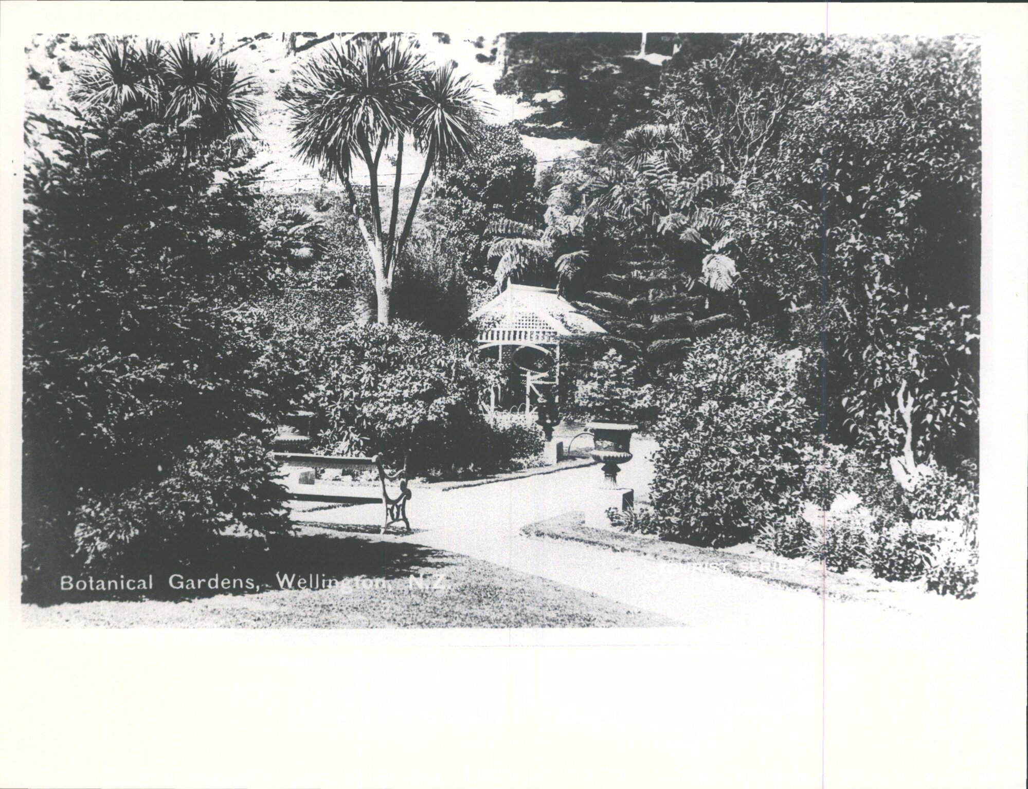Botanical Gardens, Wellington, N.Z.